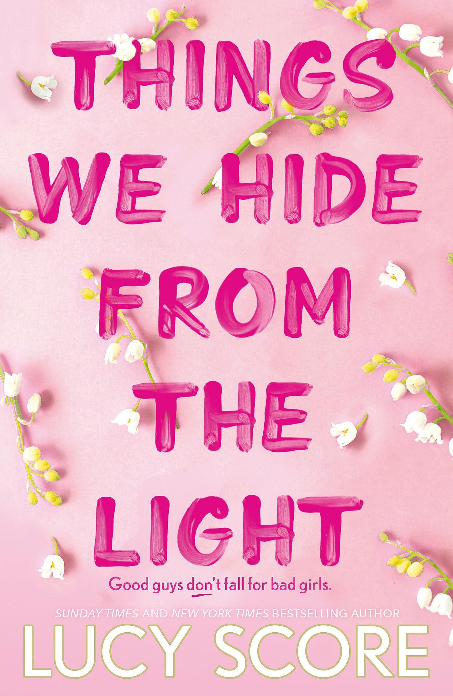 Libro: Things We Hide From The Light
