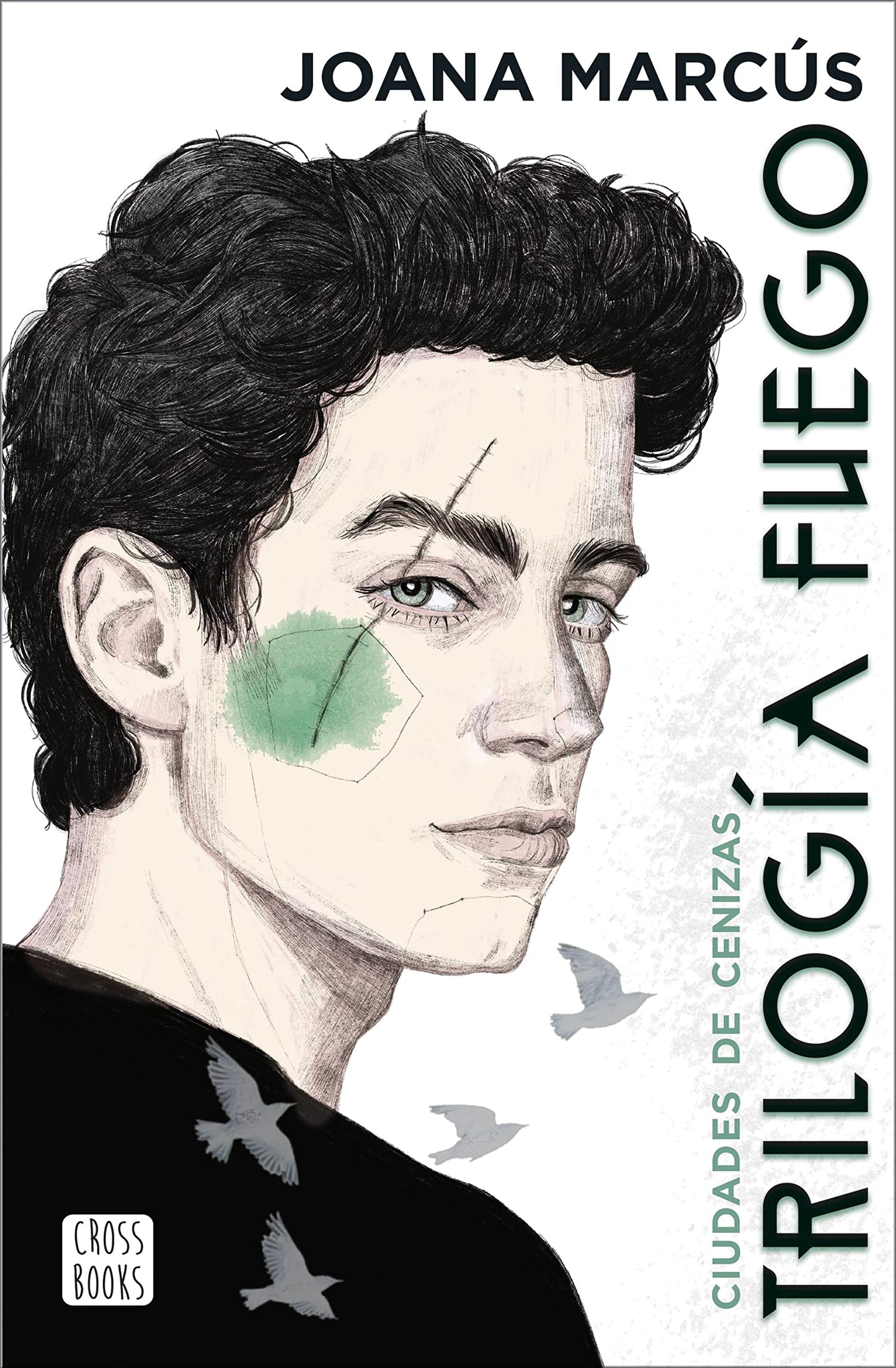 Libro: Trilogía Fuego 2. Ciudades de cenizas (Ficción)