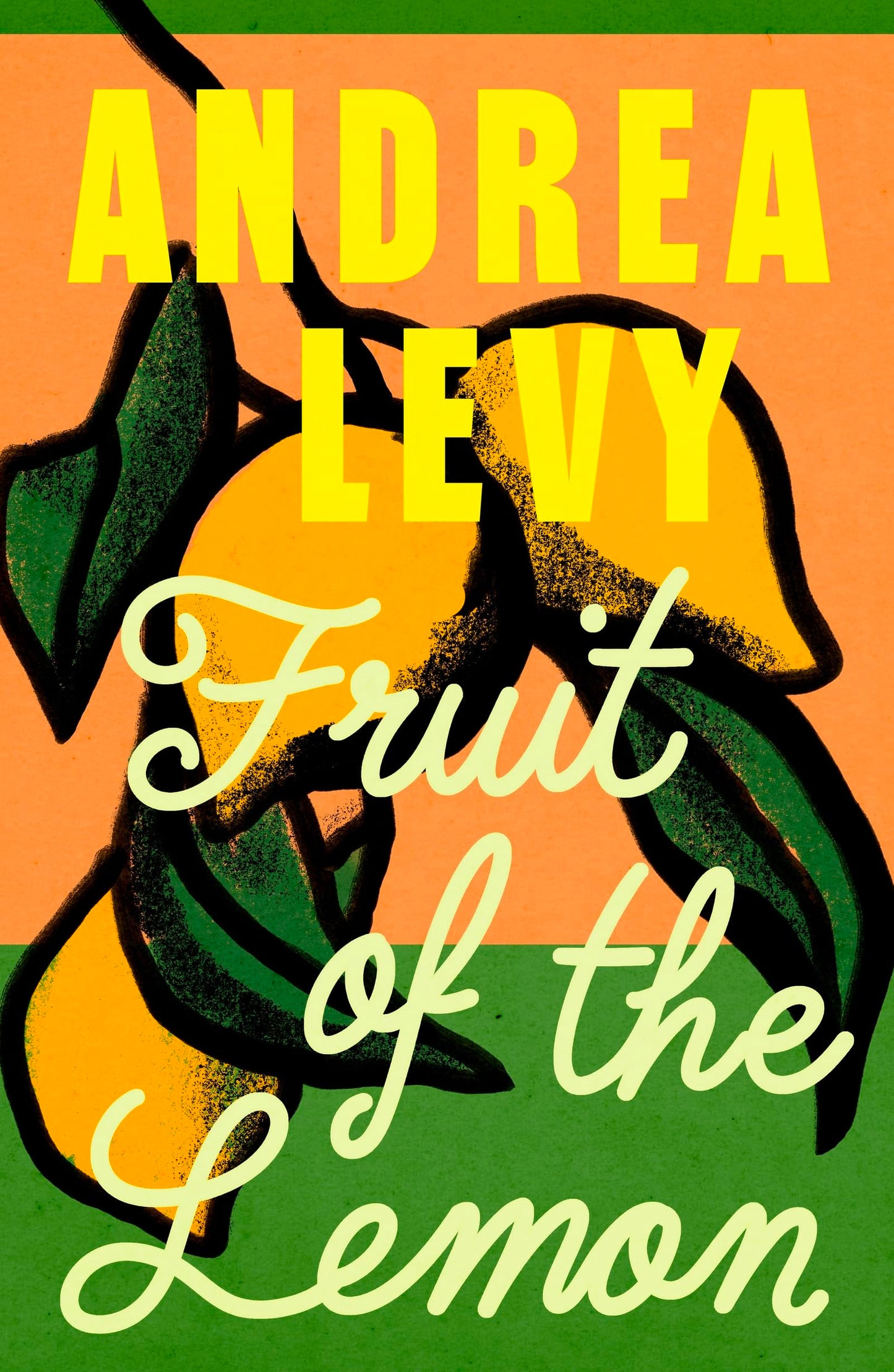 Libro: Fruit of the Lemon: Andrea Levy