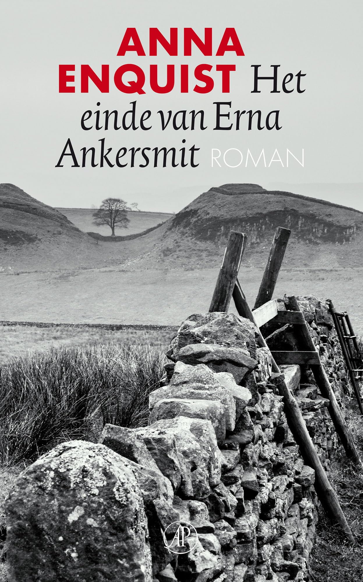 Libro: Het einde van Erna Ankersmit