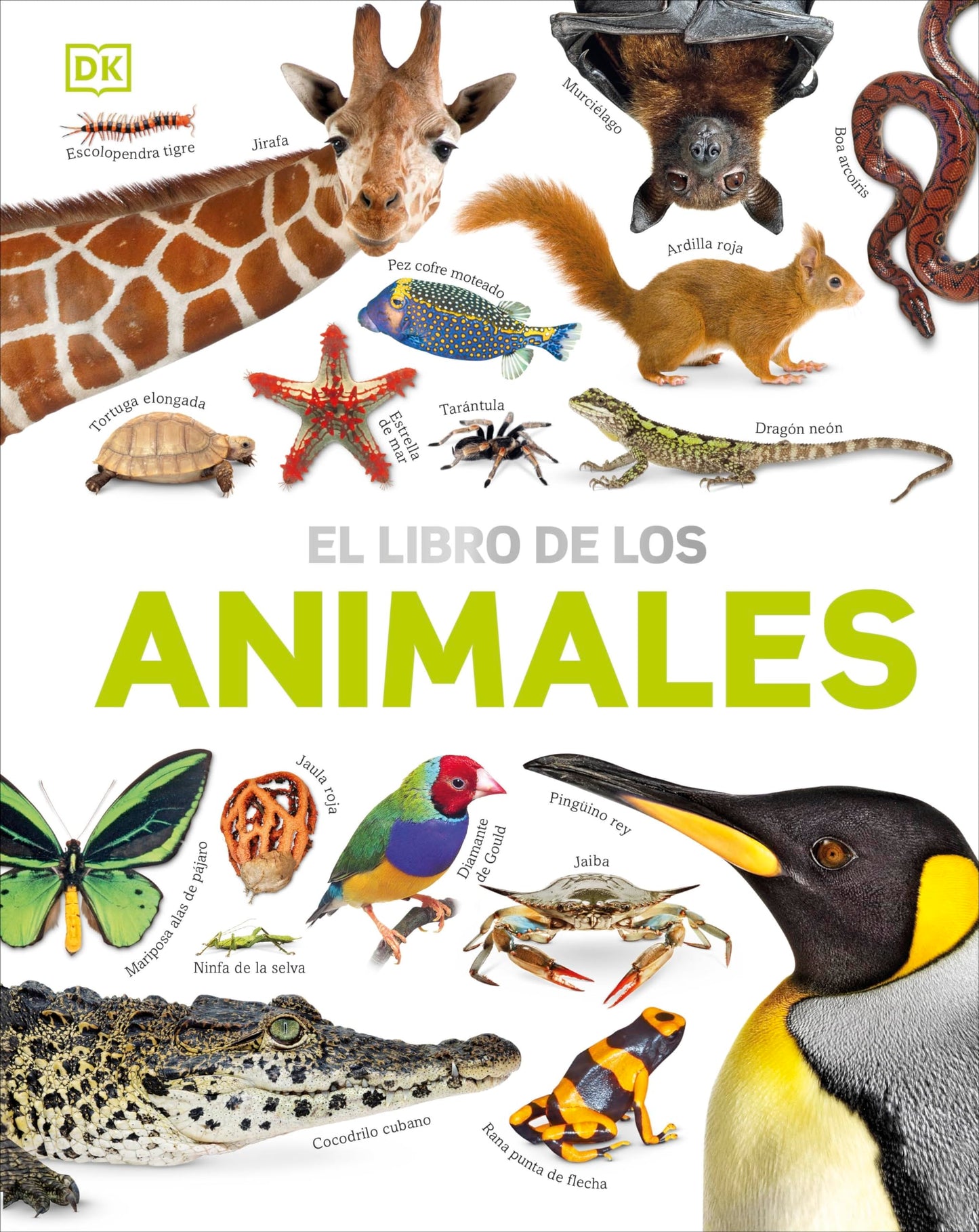 Libro: El libro de los animales (Enciclopedia visual juvenil)