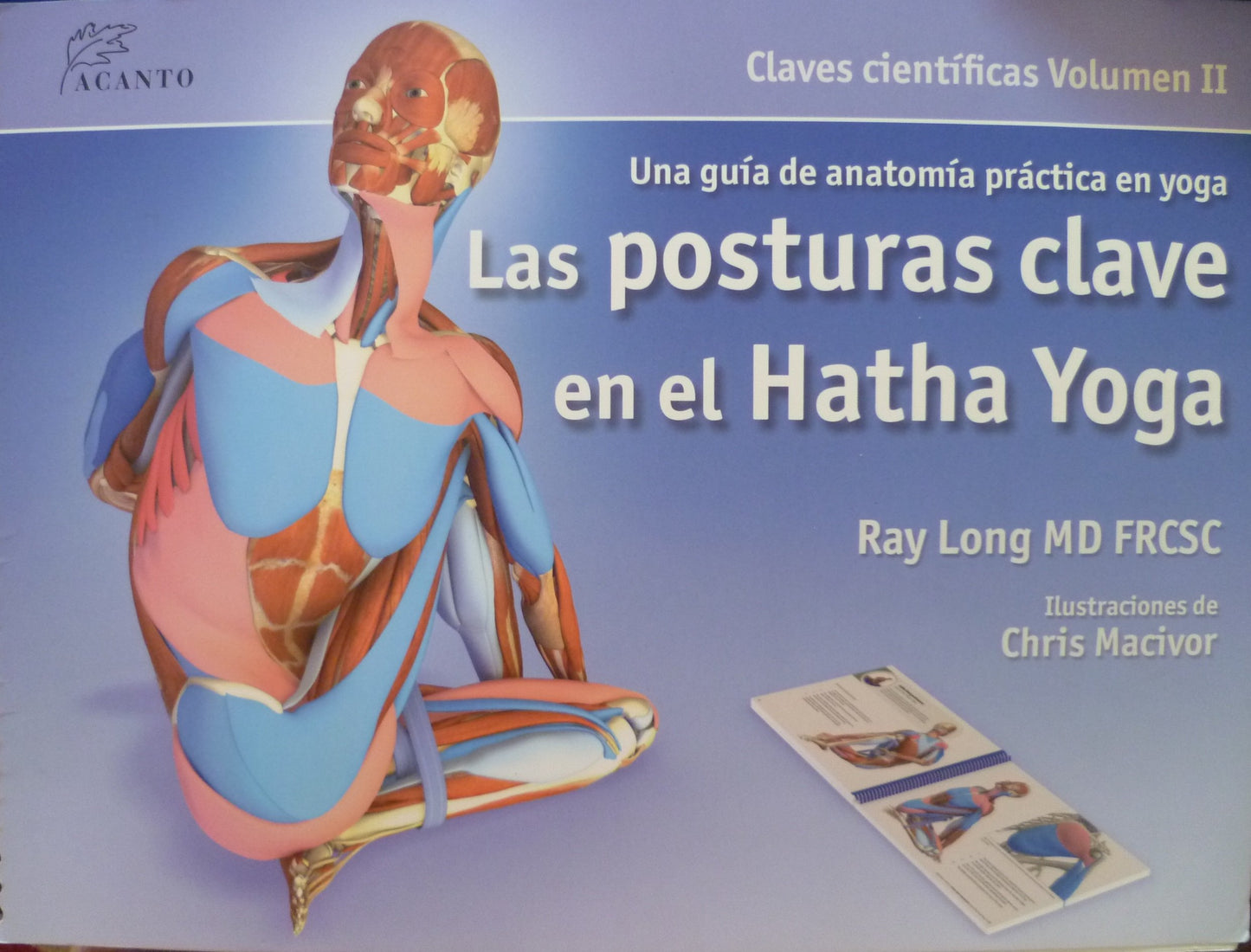 Libro: Las posturas clave en el hatha yoga