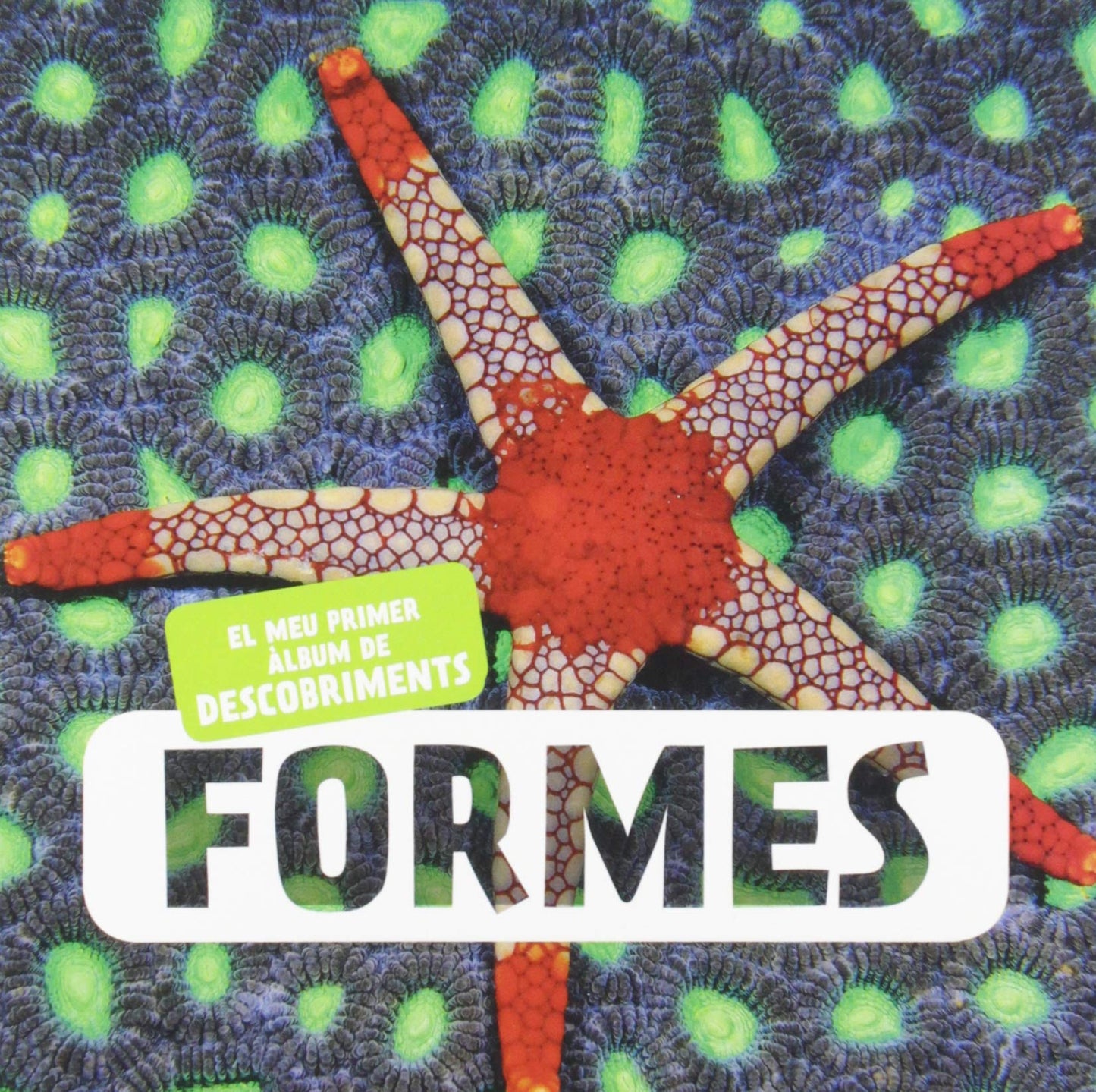Libro: Formes (EL MEU PRIMER ALBUM DE DESCOBRIMENTS)