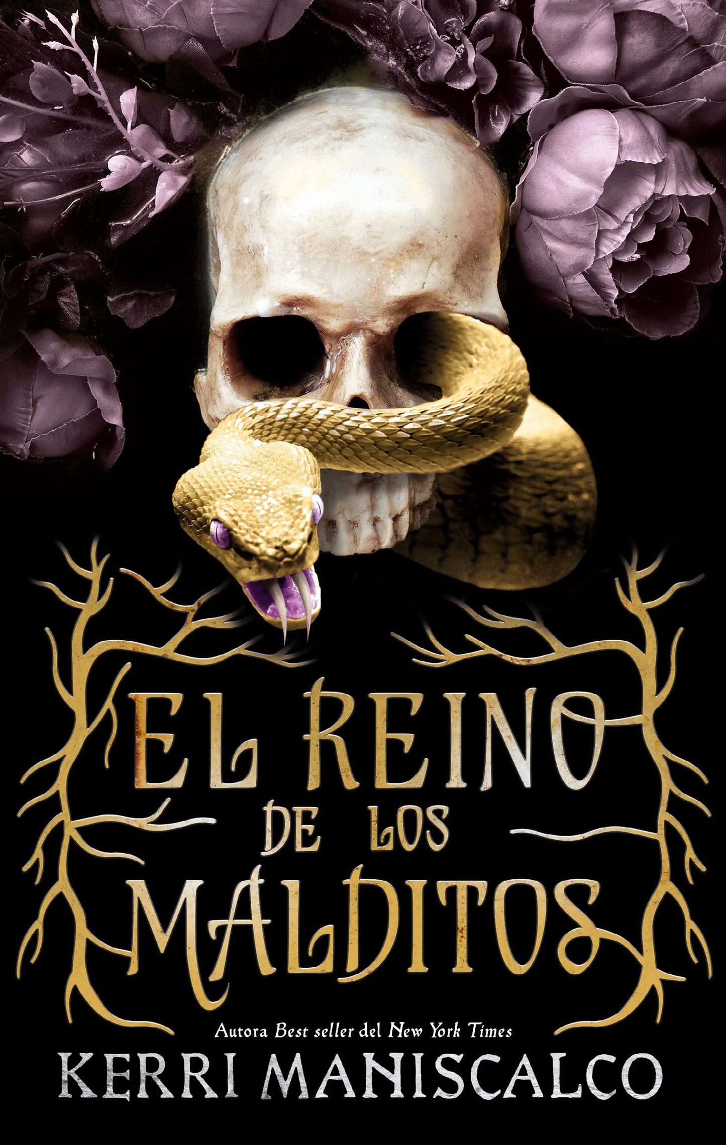Libro: El reino de los malditos