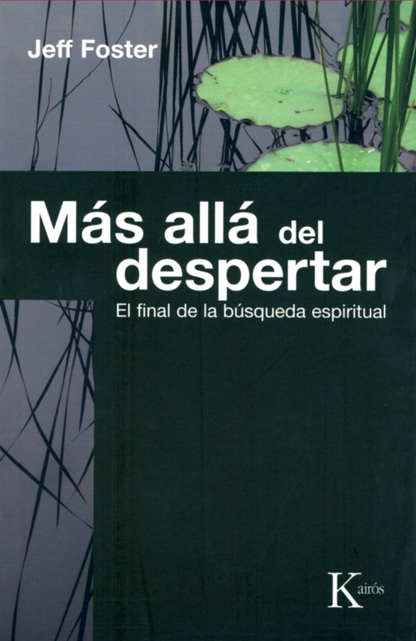 Libro: Más allá del despertar: El final de la búsqueda espiritual (Spanish Edition)