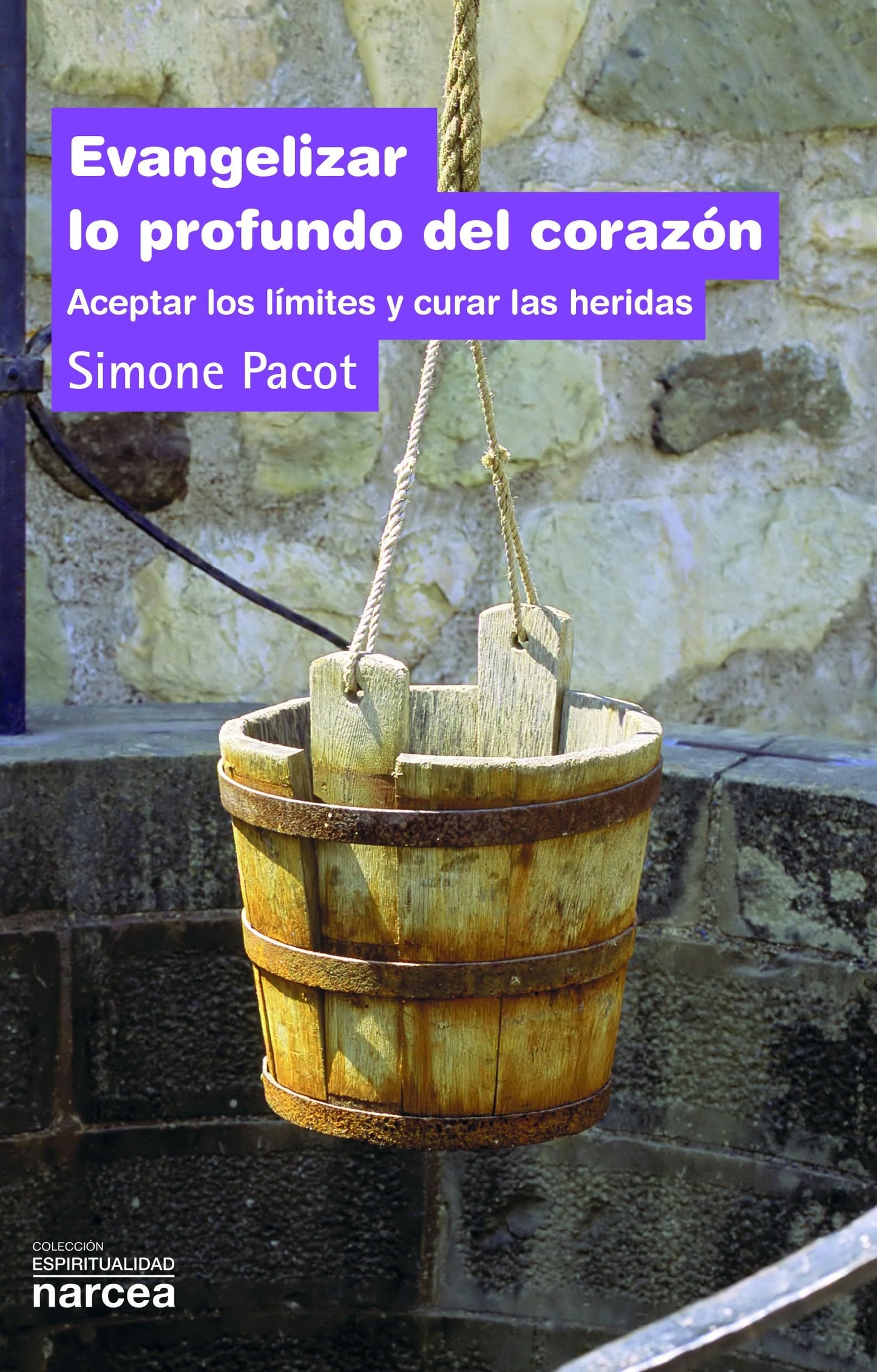Libro: Evangelizar lo profundo: Aceptar los límites y curar las heridas: 207 (Espiritualidad)