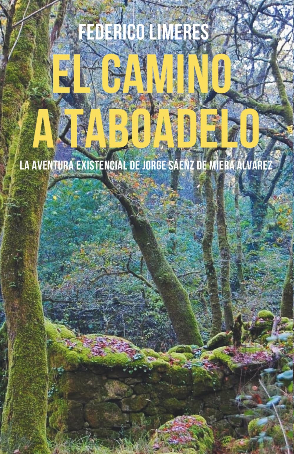 Libro: EL CAMINO A TABOADELO: La aventura existencial de Jorge Sáenz de Miera Álvarez