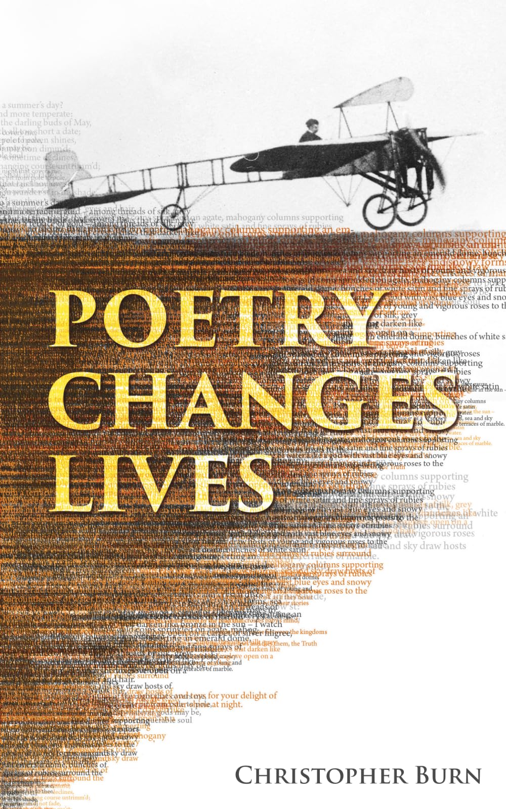 Libro: Poetry Changes Lives: Daily Thoughts on Poetry and History