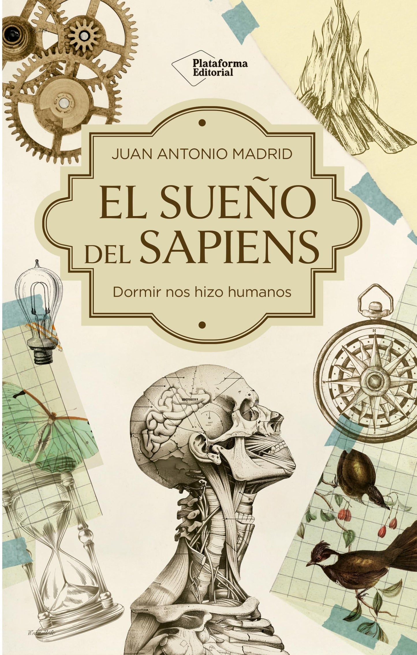 Libro: El sueño del Sapiens: Cómo dormir y soñar nos hizo humanos