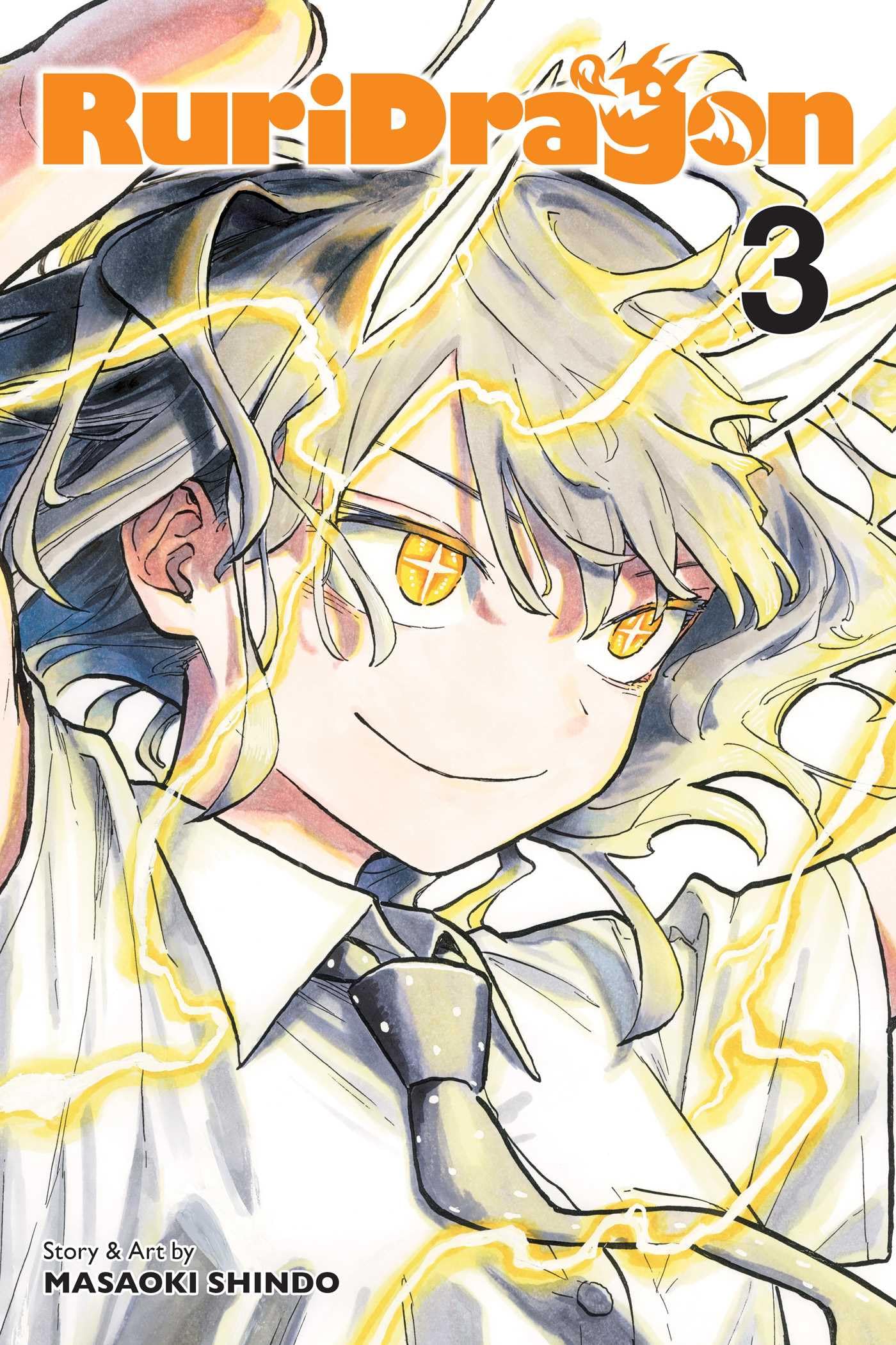 Libro: RuriDragon, Vol. 3