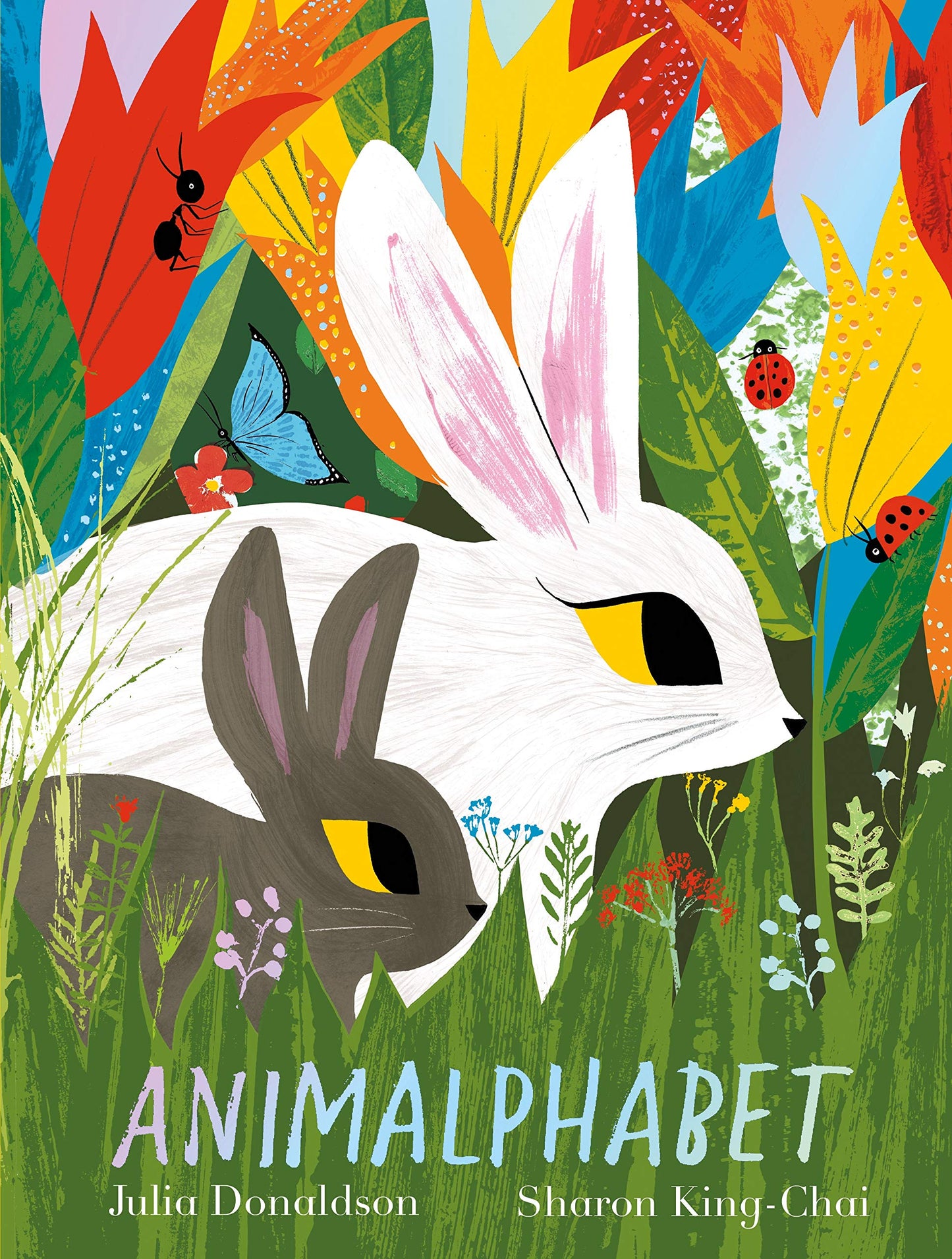 Libro: Animalphabet