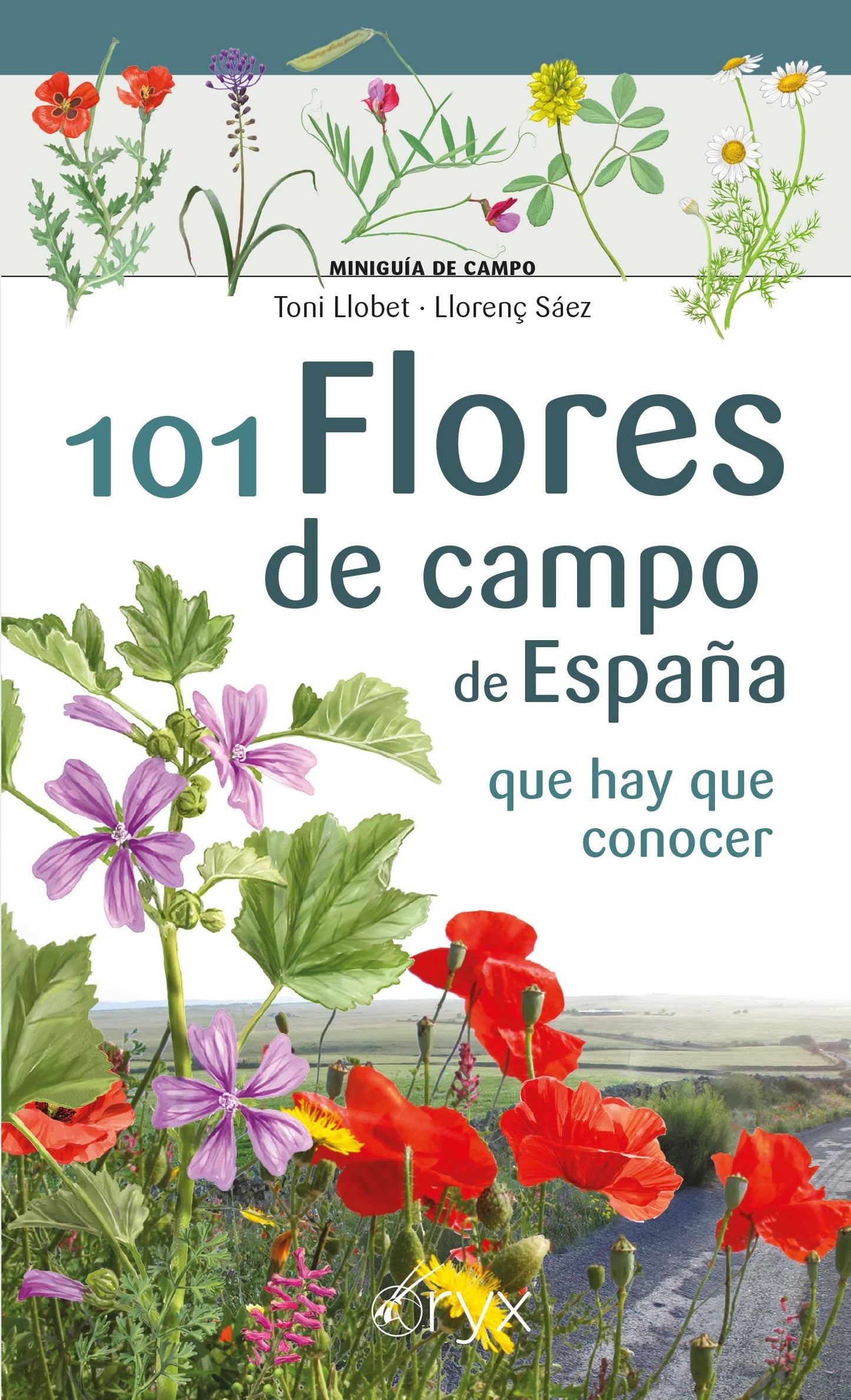 Libro: 101 Flores De Campo De España - Que Hay Que Conocer (Miniguía de campo)