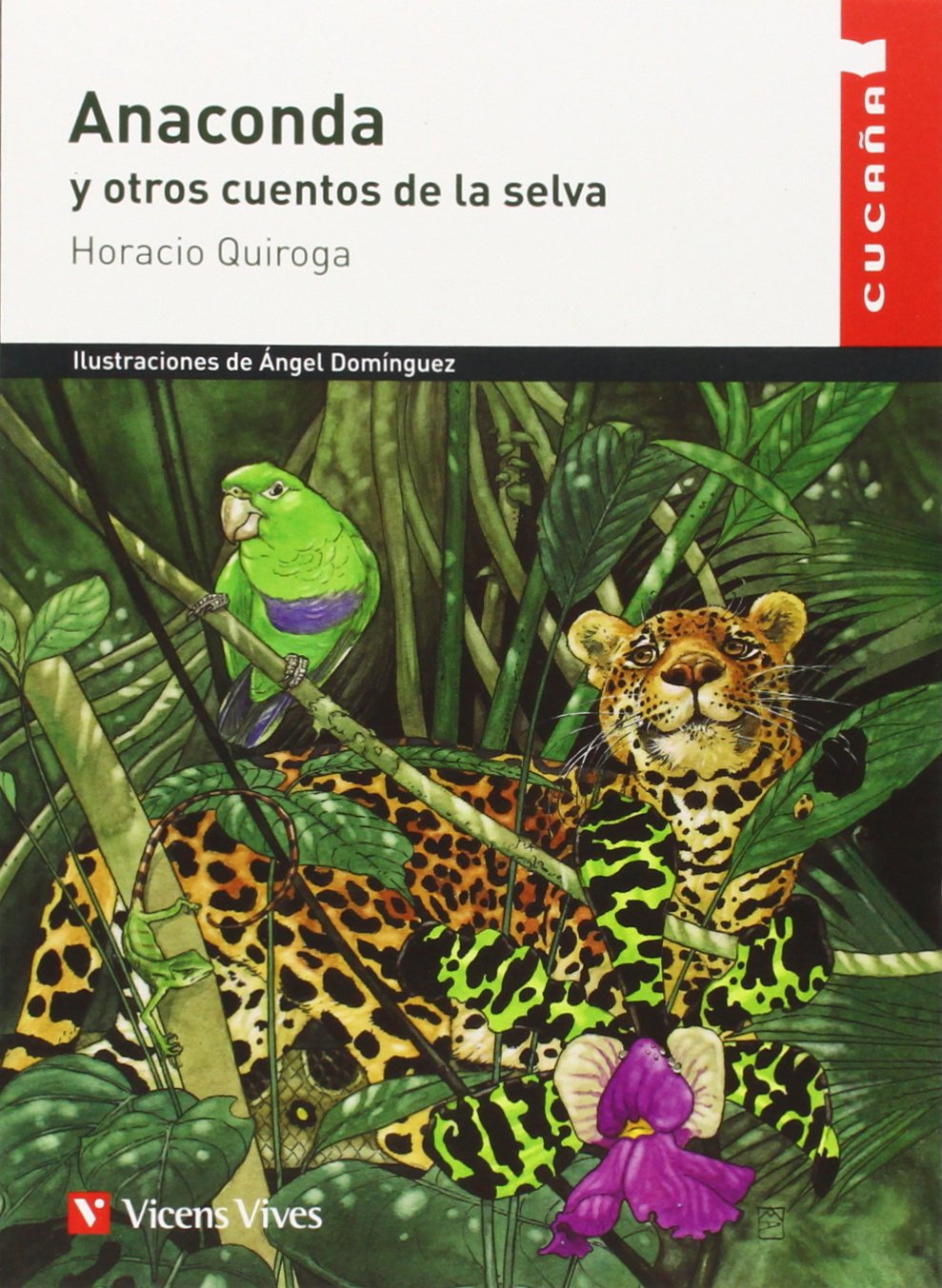 Libro: Anaconda Y Otros Cuentos N/c (Colección Cucaña) - 9788431660055