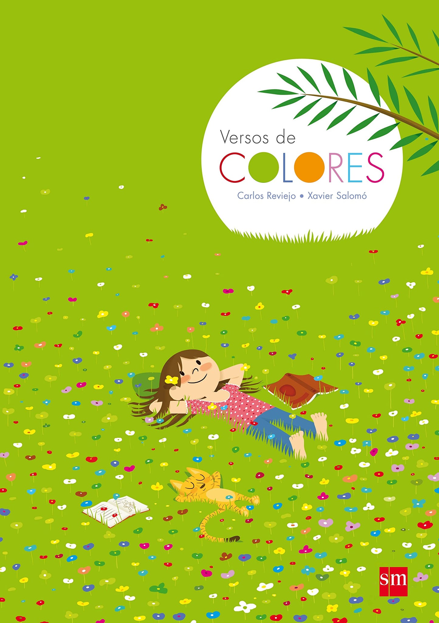 Libro: Versos de COLORES