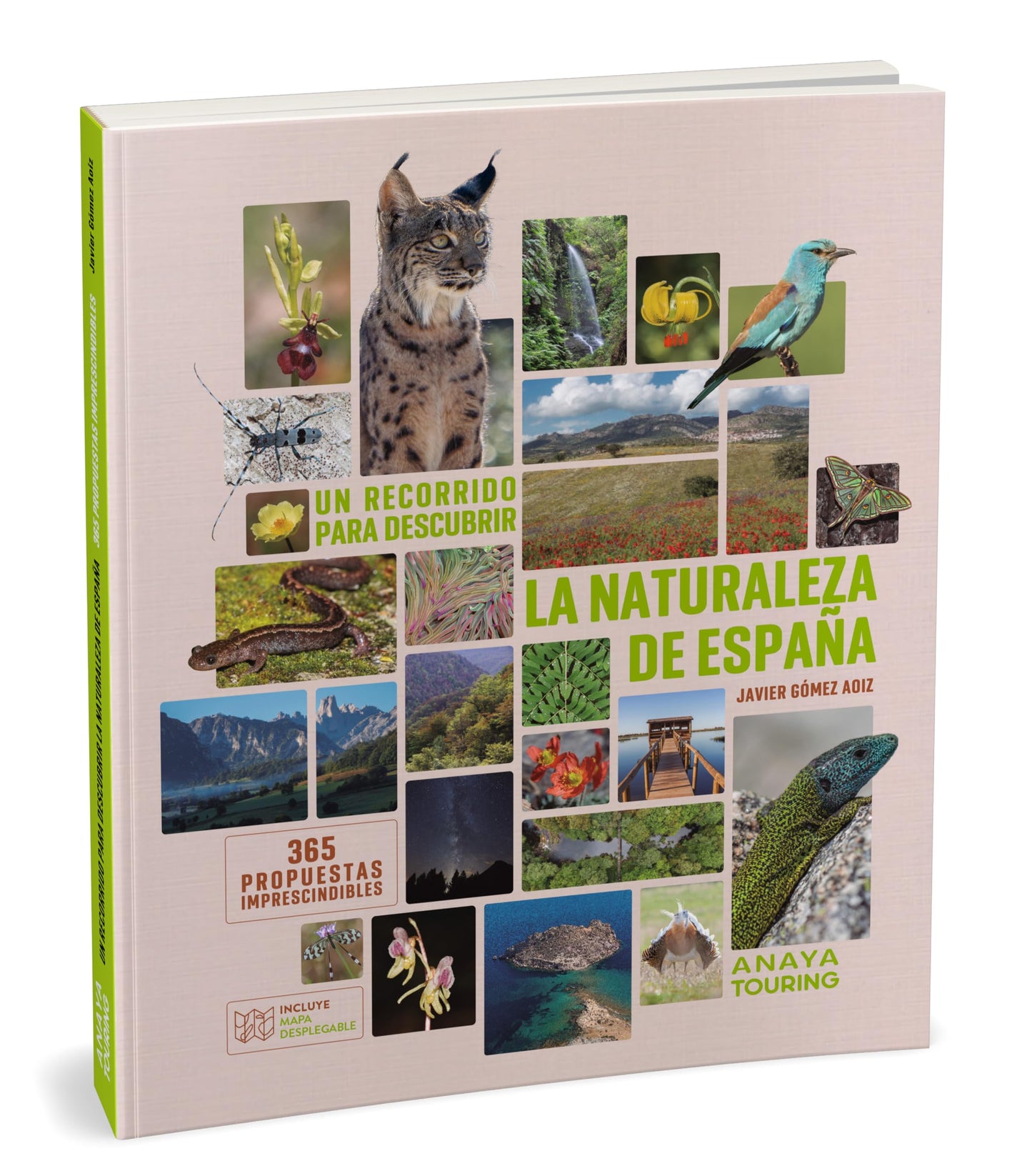 Libro: Un recorrido para descubrir la Naturaleza de España.: 365 Propuestas imprescindibles