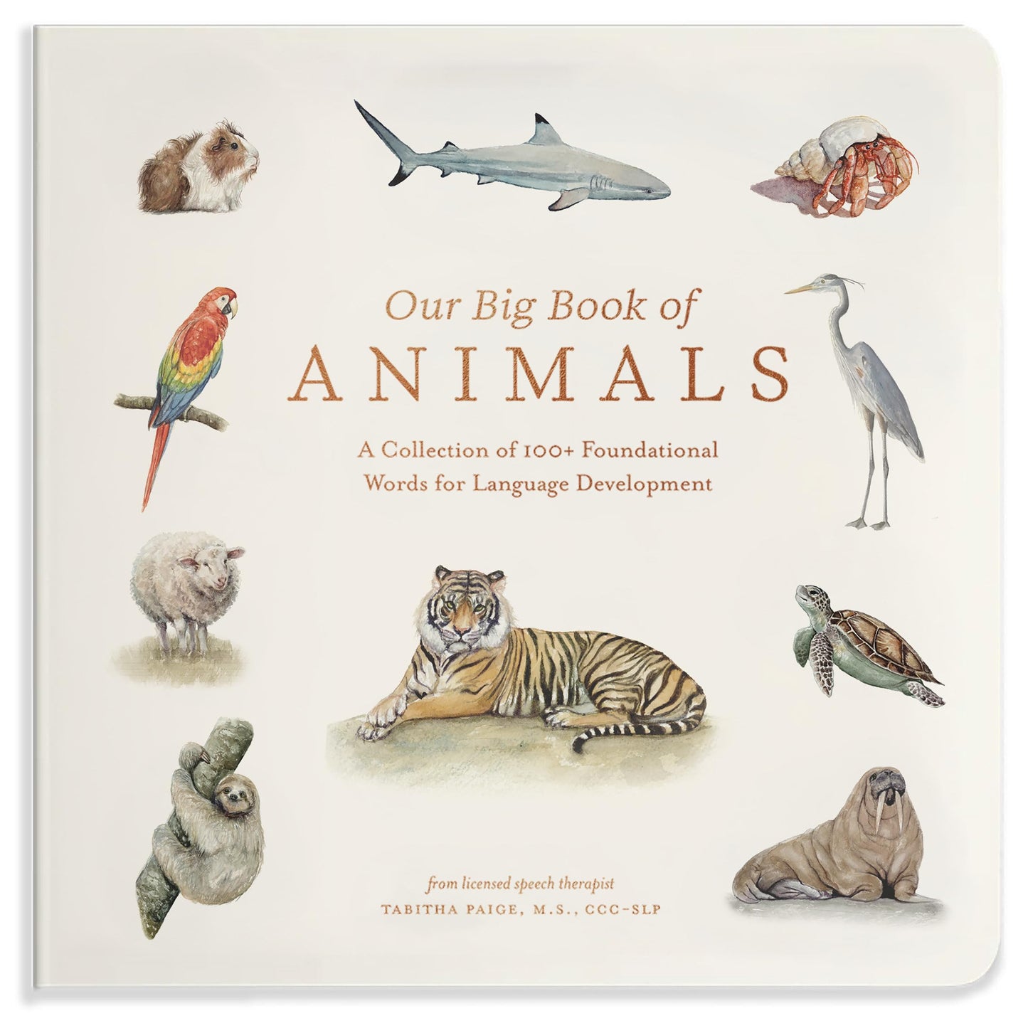 Libro: Our Big Book of Animals: First 100 Animal Words for Language Development, including Farm, Jungle, Pets, Bugs, and More: 17 (Tabitha Paige Children's Book Series)