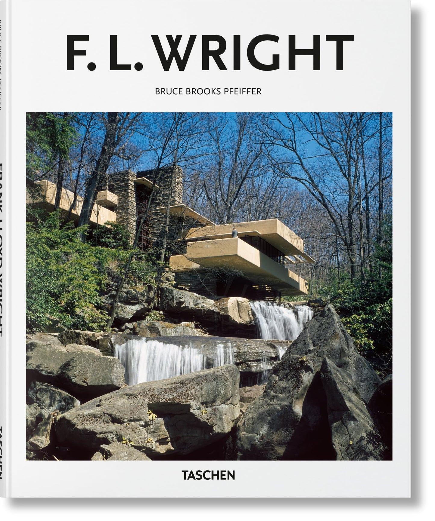 Libro: Wright (Basic Art)