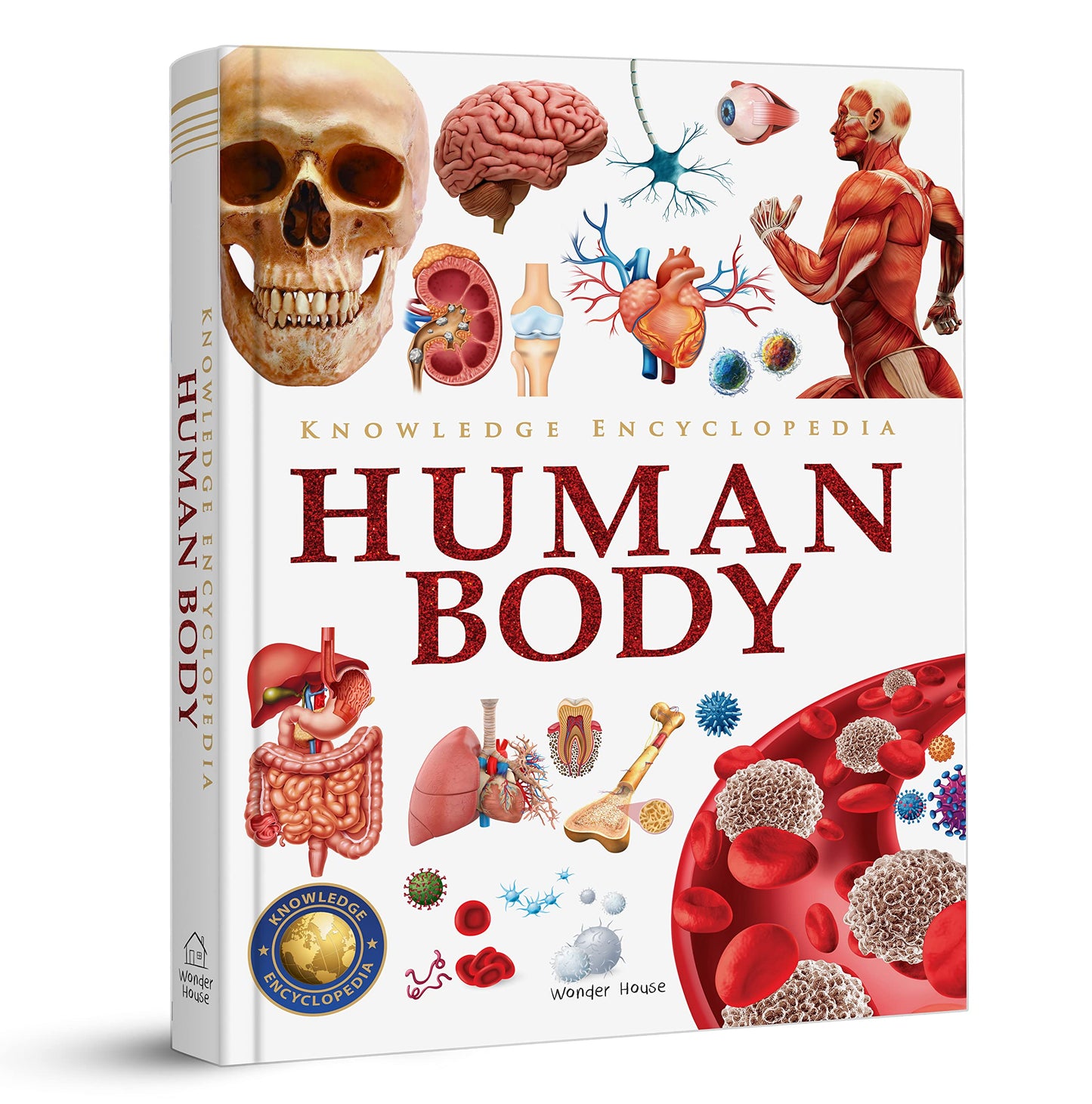 Libro: Knowledge Encyclopedia: Human Body (Knowledge Encyclopedia for Children)
