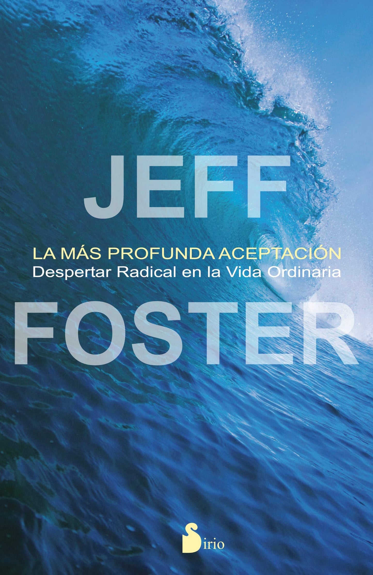 Libro: LA MAS PROFUNDA ACEPTACION: DESPERTAR RADICAL EN LA VIDA ORDINARIA (2014)