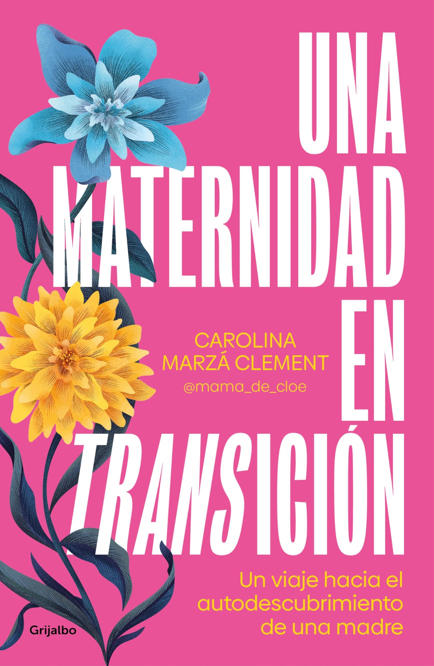 Libro: Una maternidad en transición: El viaje de una madre hacia el autoconocimiento (Crecimiento personal)