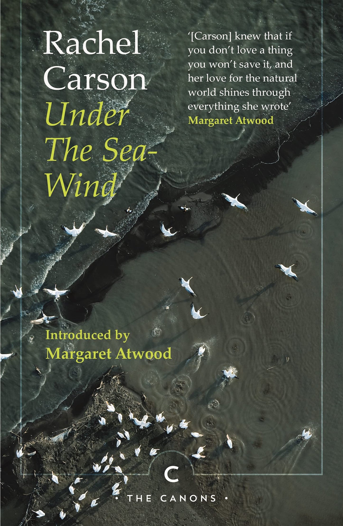 Libro: Under the Sea-Wind: Rachel Carson (Canons)