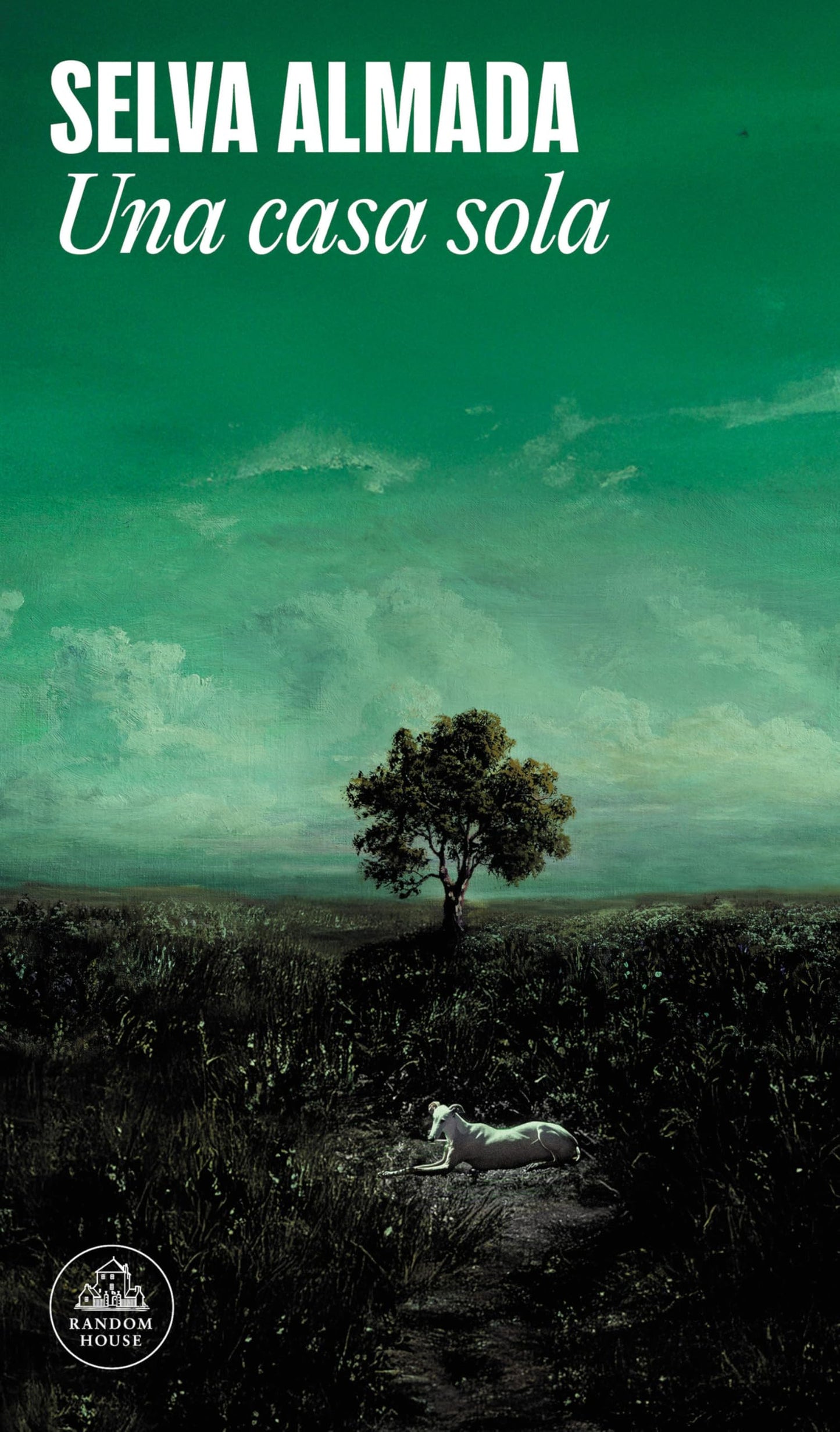 Libro: Una casa sola / A Lonely House (Spanish Edition)