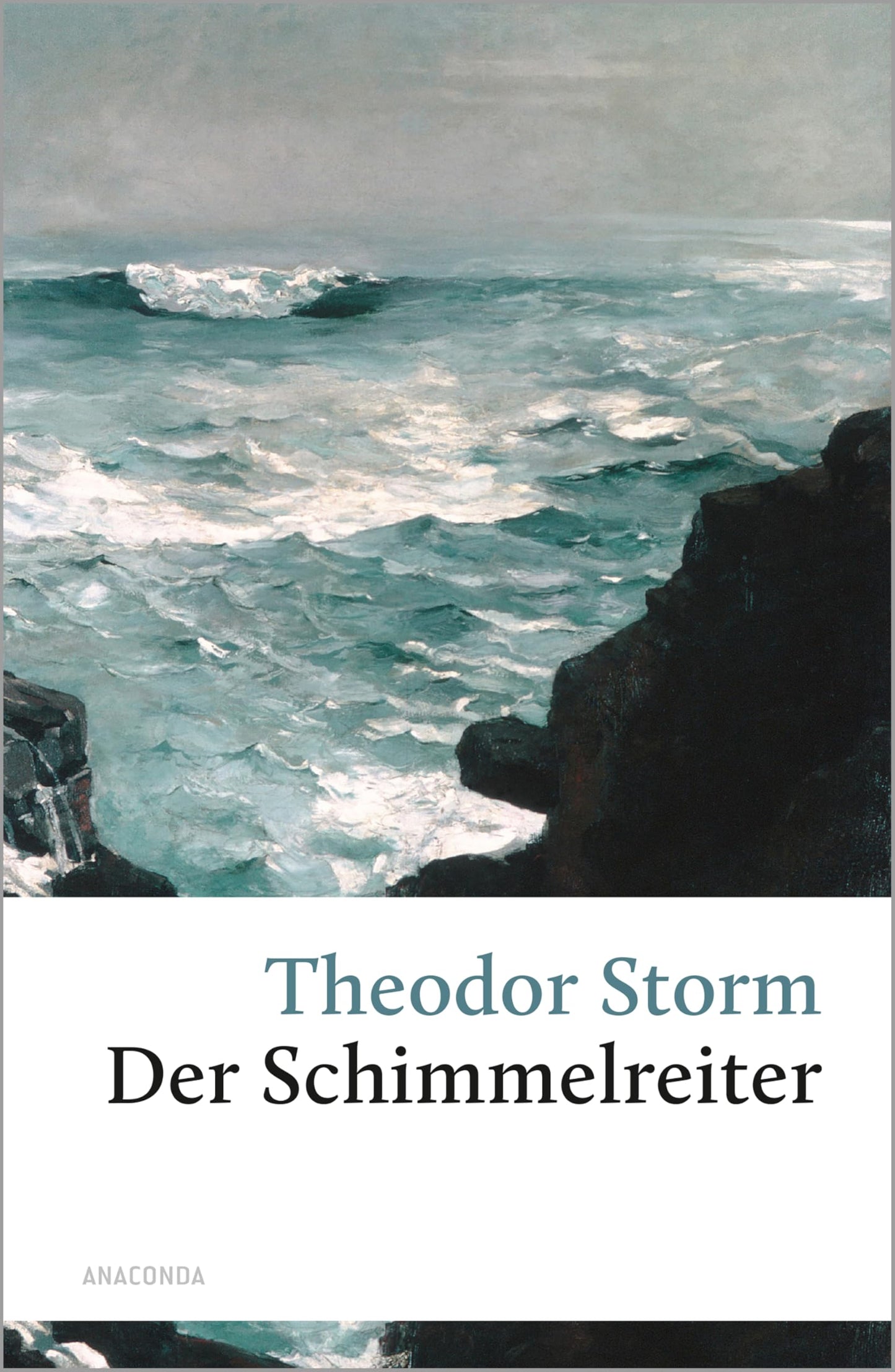 Libro: Der Schimmelreiter