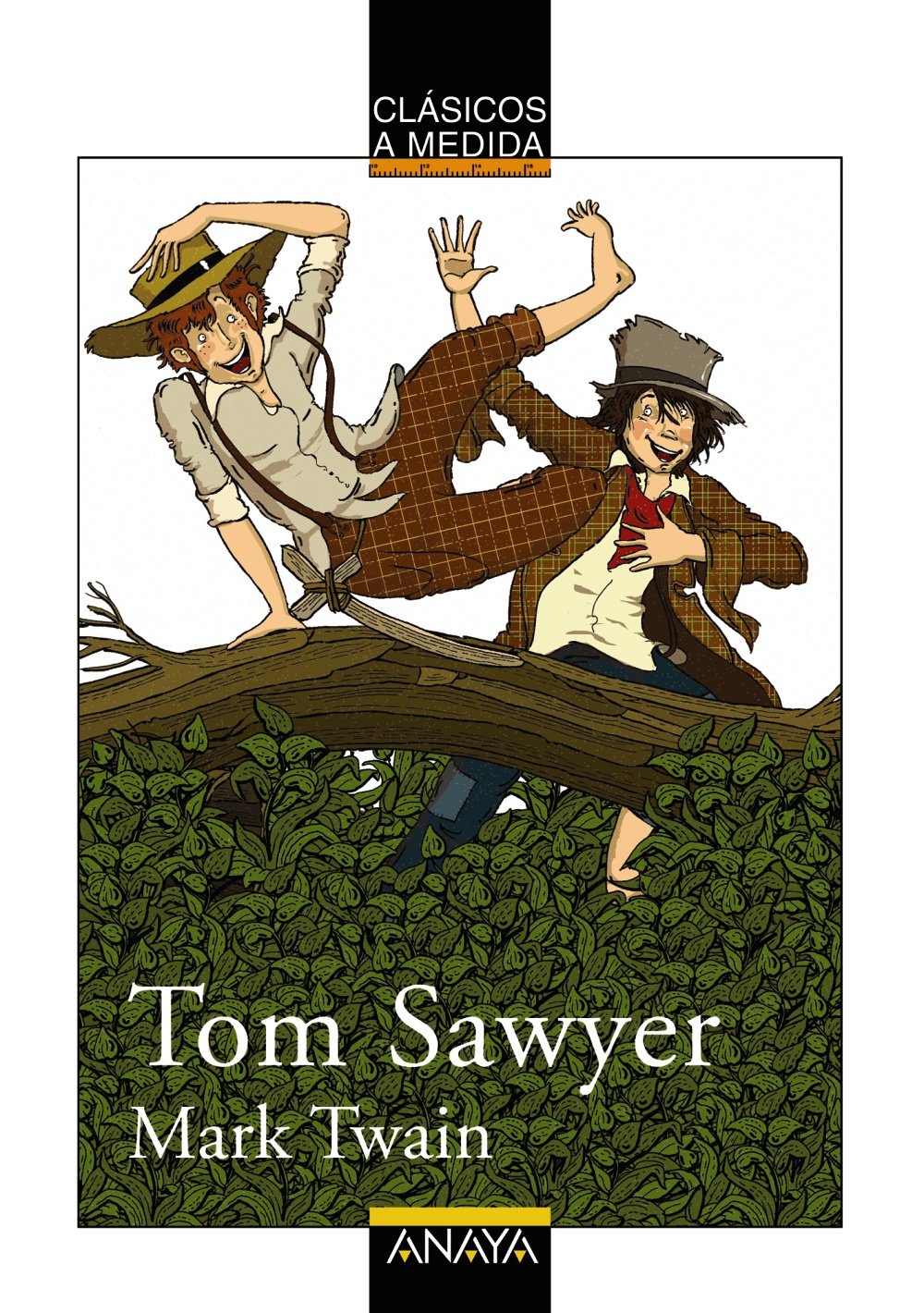 Libro: Tom Sawyer (CLÁSICOS - Clásicos a Medida)