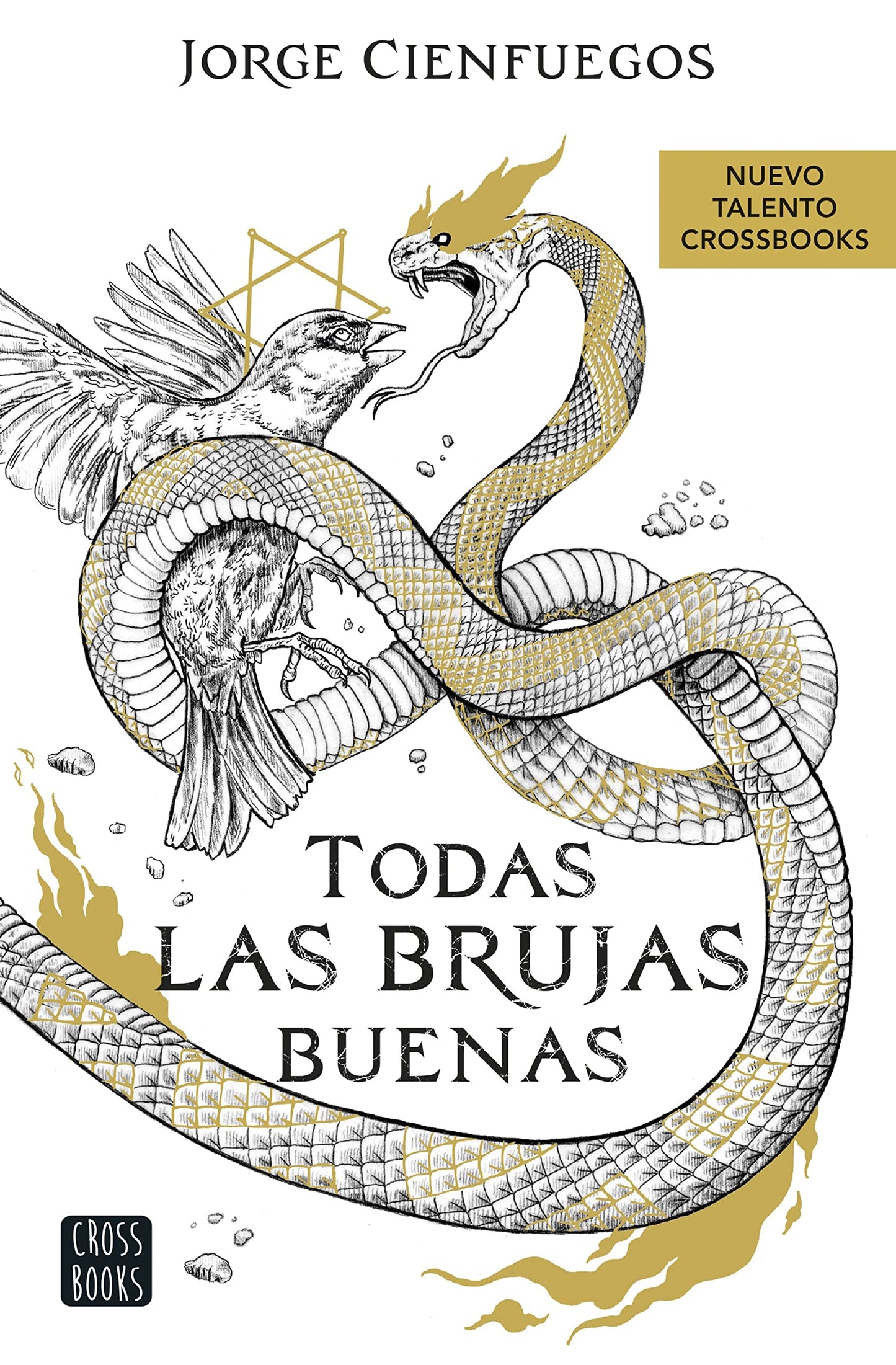 Libro: Todas las brujas buenas: 1 (Ficción)