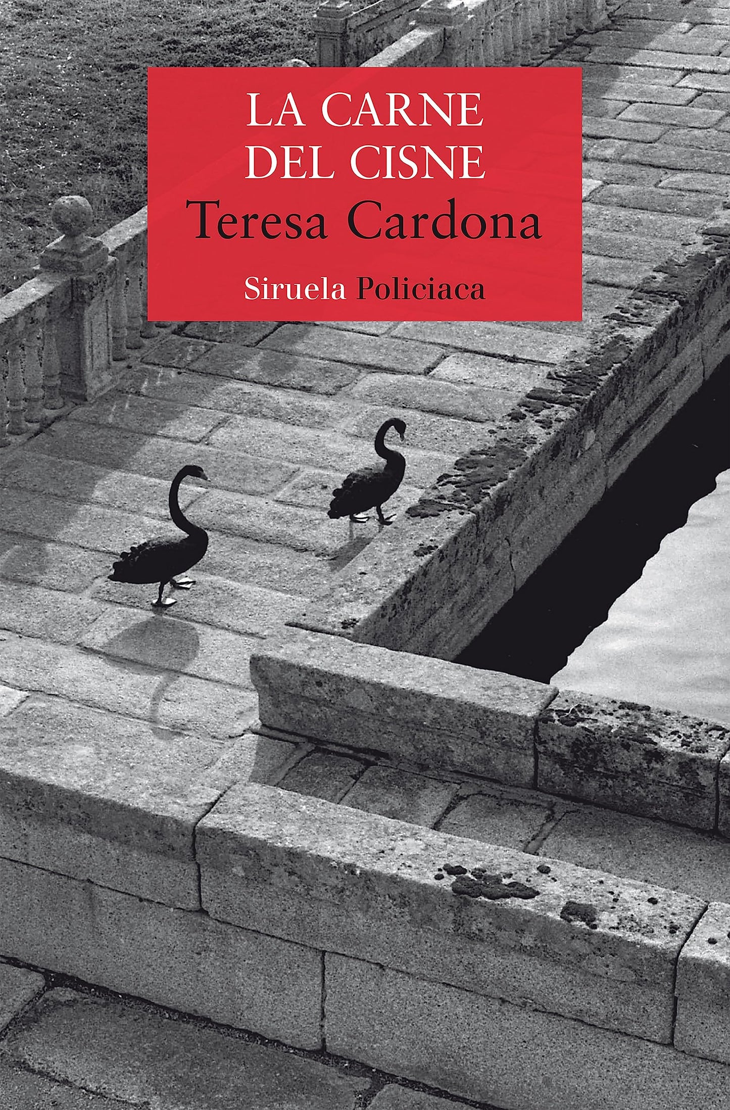 Libro: La carne del cisne: Serie de Blecker y Cano 3