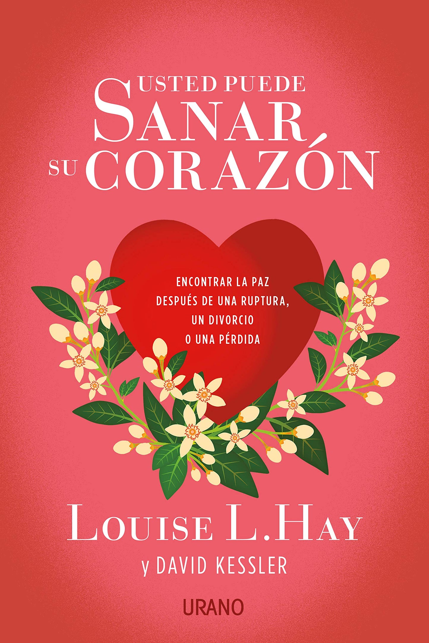 Libro: Usted puede sanar su corazón: Encontrar la paz después de una ruptura, un divorcio o una pérdida