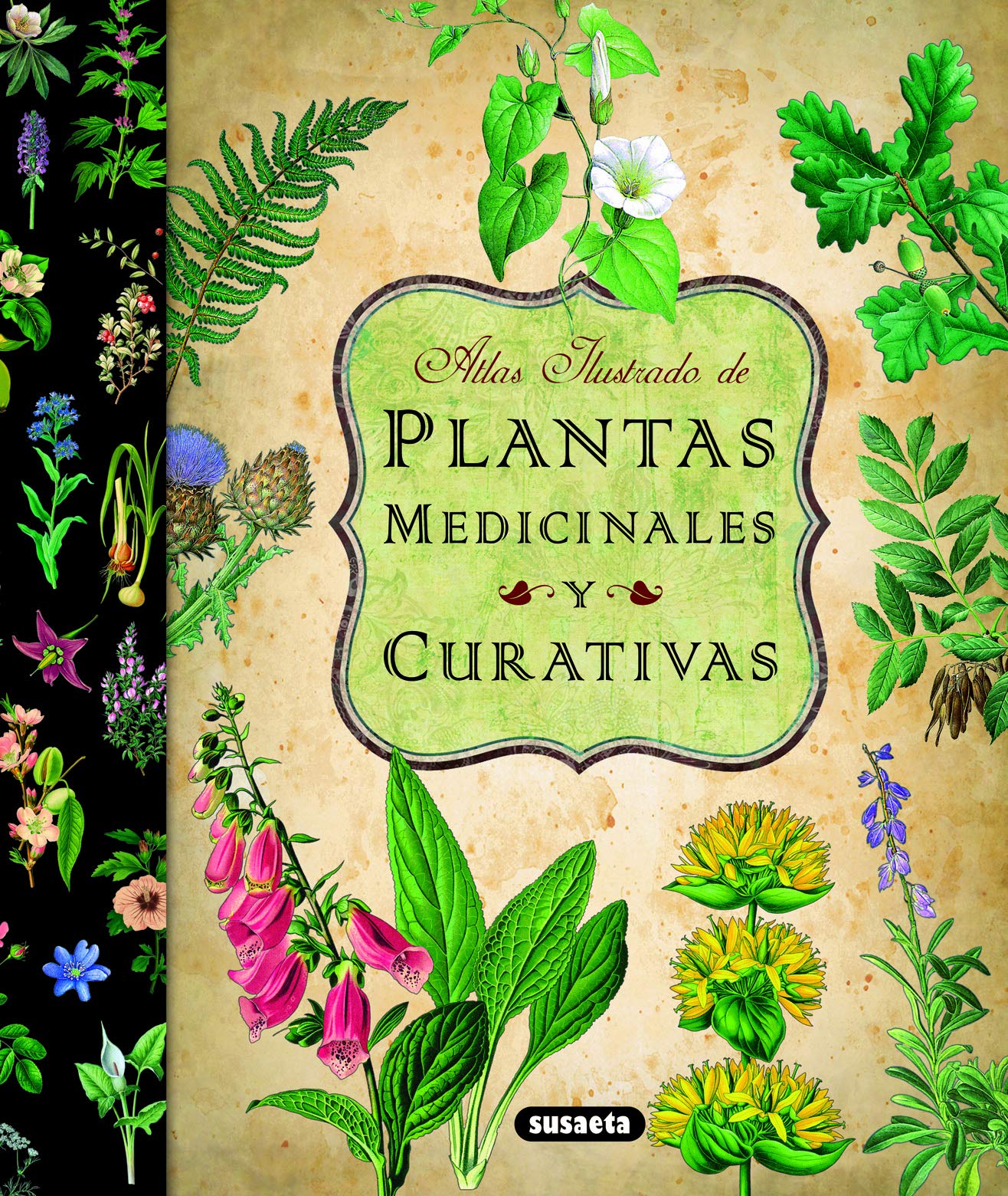 Plantas Medicinales Y Curativas (Atlas Ilustrado)