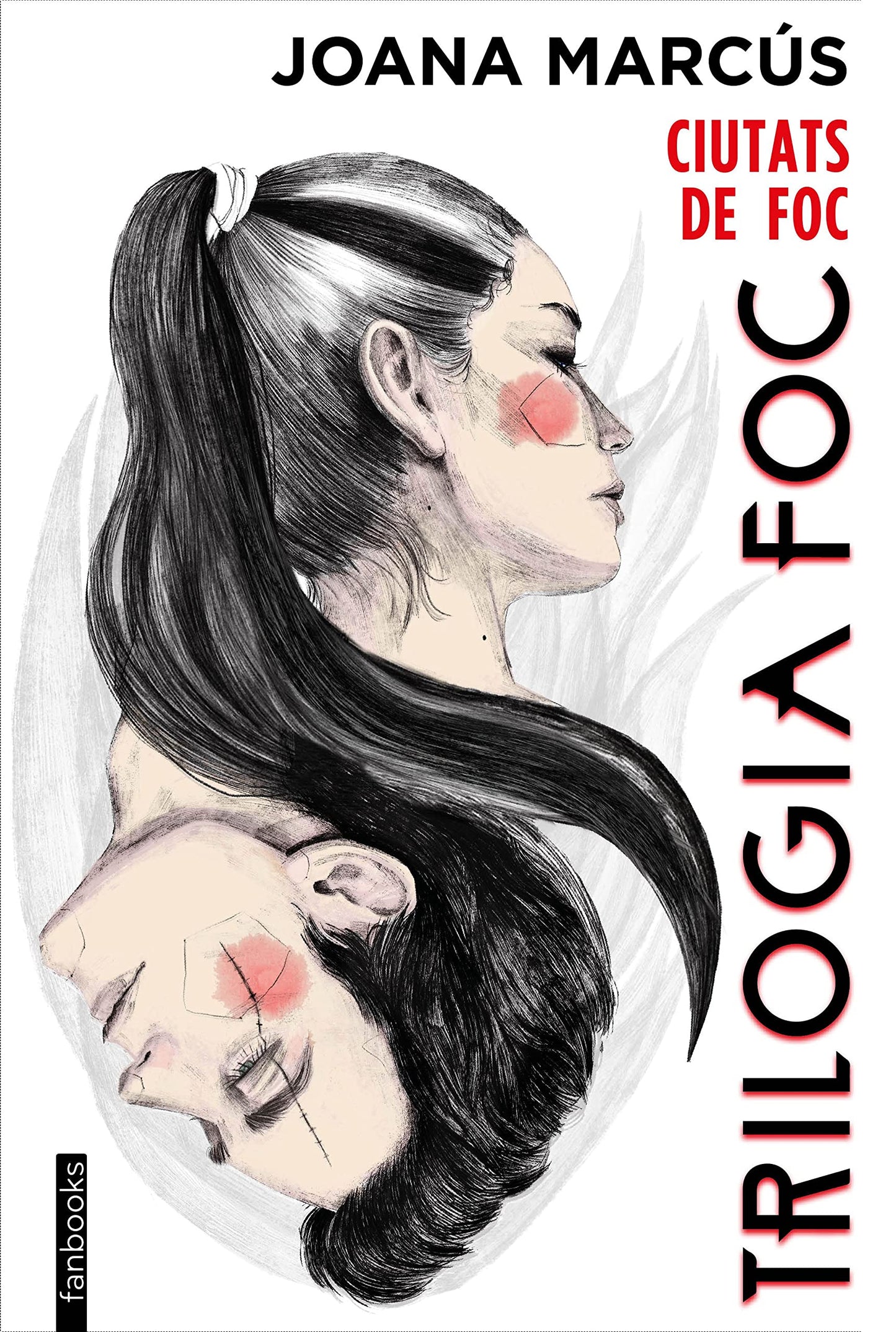 Libro: Trilogia Foc 3. Ciutats de Foc (Ficció romàntica)