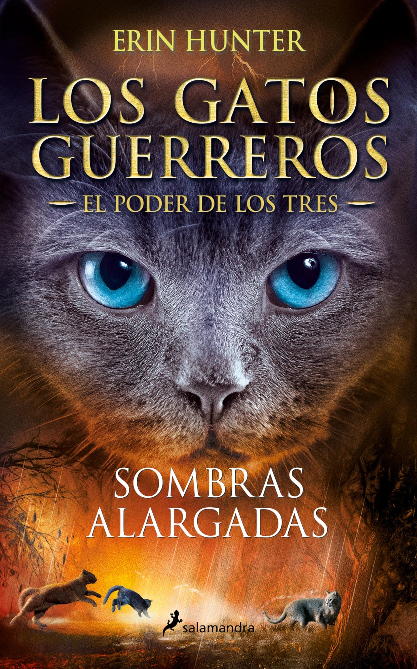Libro: Los Gatos Guerreros | El Poder de los Tres 5 - Sombras alargadas (Colección Salamandra Juvenil)