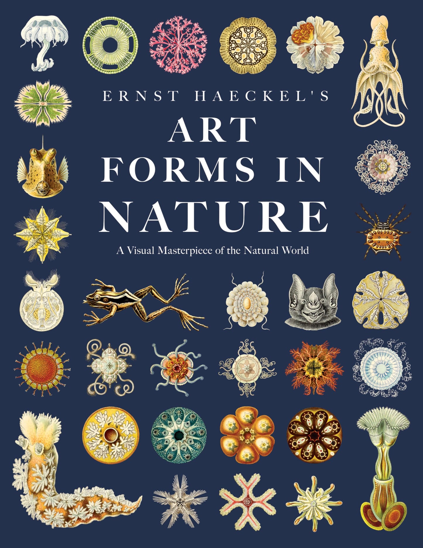 Libro: Ernst Haeckel's Art Forms in Nature: A Visual Masterpiece of the Natural World
