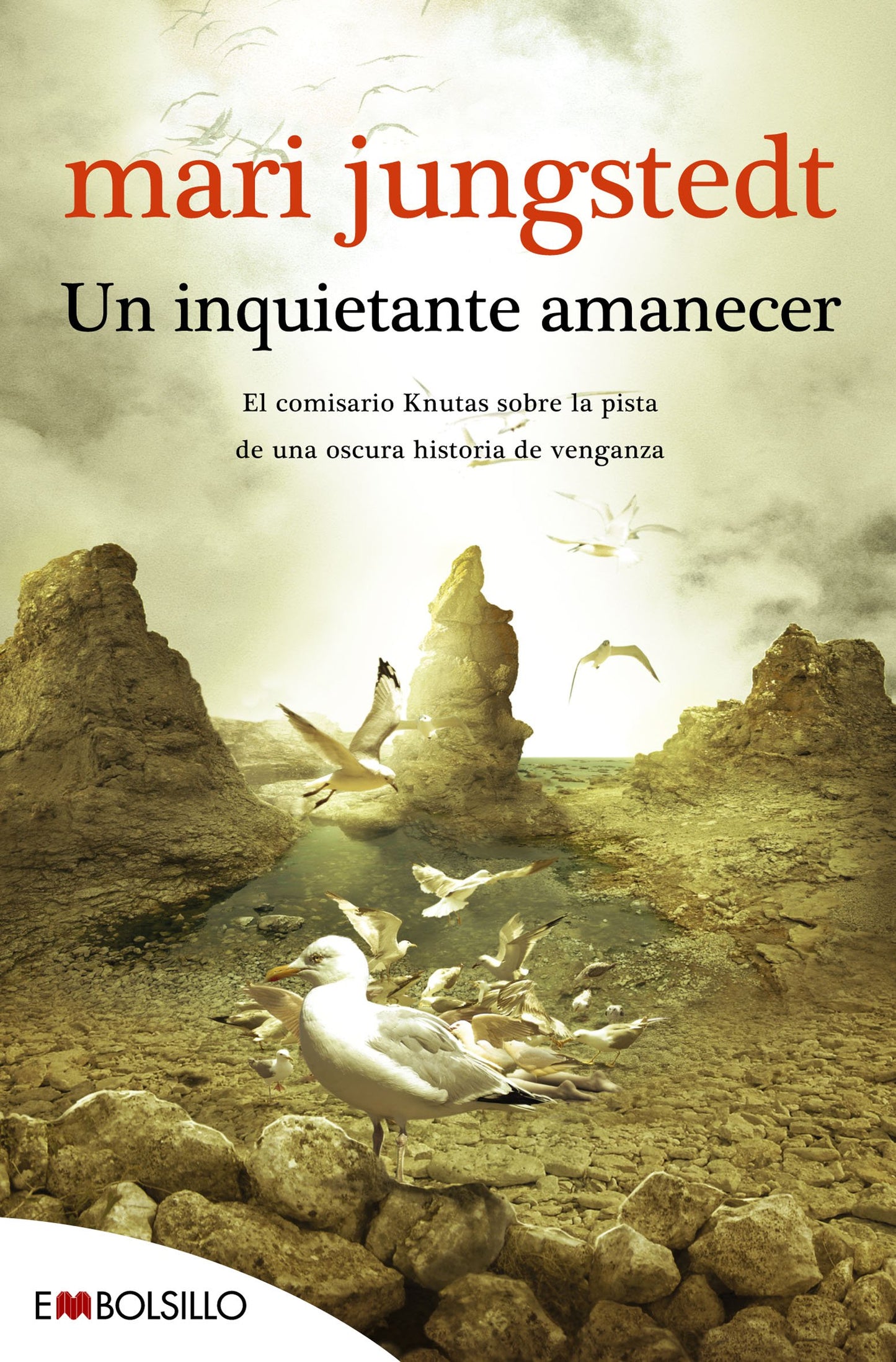 Libro: Un inquietante amanecer: El comisario Knutas sobre la pista de una oscura historia de venganza (EMBOLSILLO)