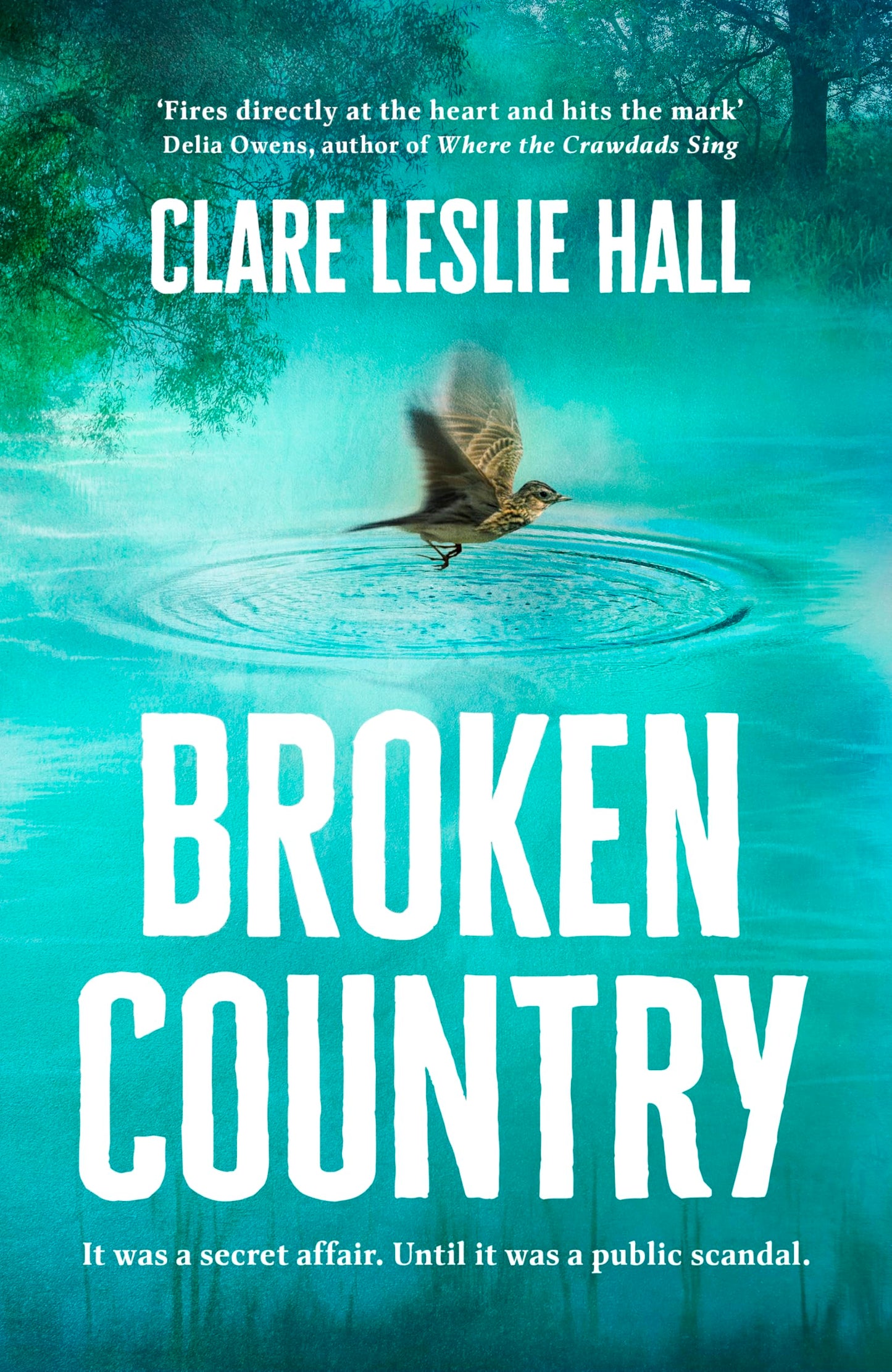 Libro: Broken Country: the most addictive love story of the year