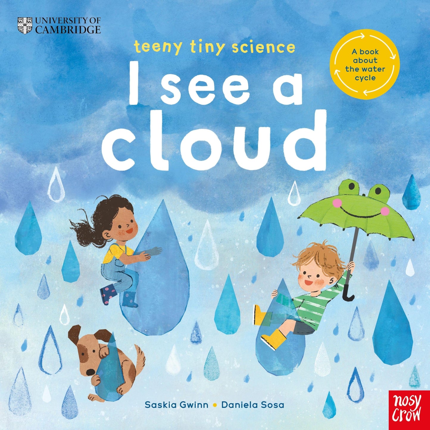 Libro: University of Cambridge: Teeny Tiny Science: I See a Cloud: A book about the water cycle