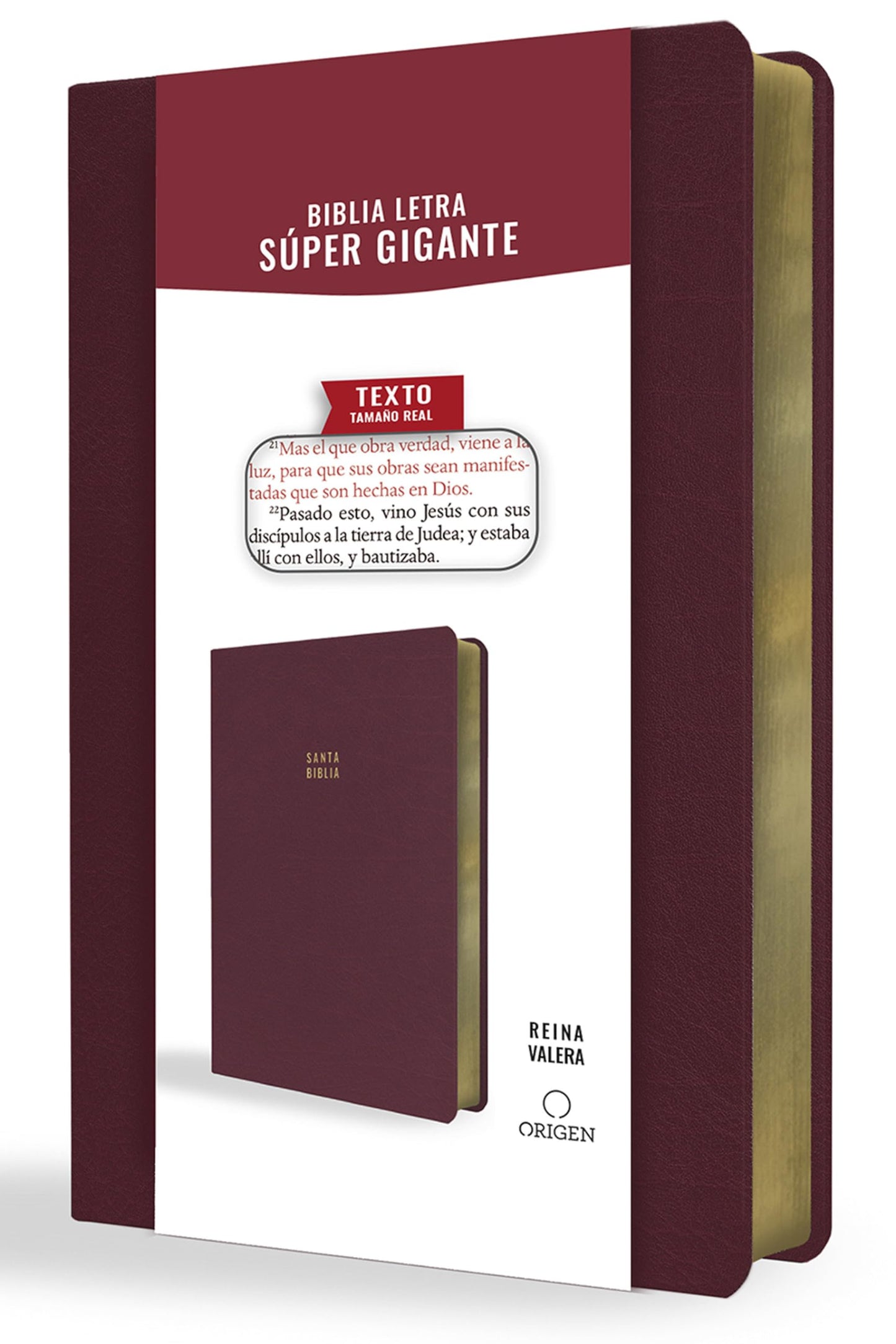 Libro: Biblia Reina Valera letra súper gigante, símil piel vinotinto / Spanish Bible Reina Valera Super Giant Print, Burgundy Leathersoft (Spanish Edition)