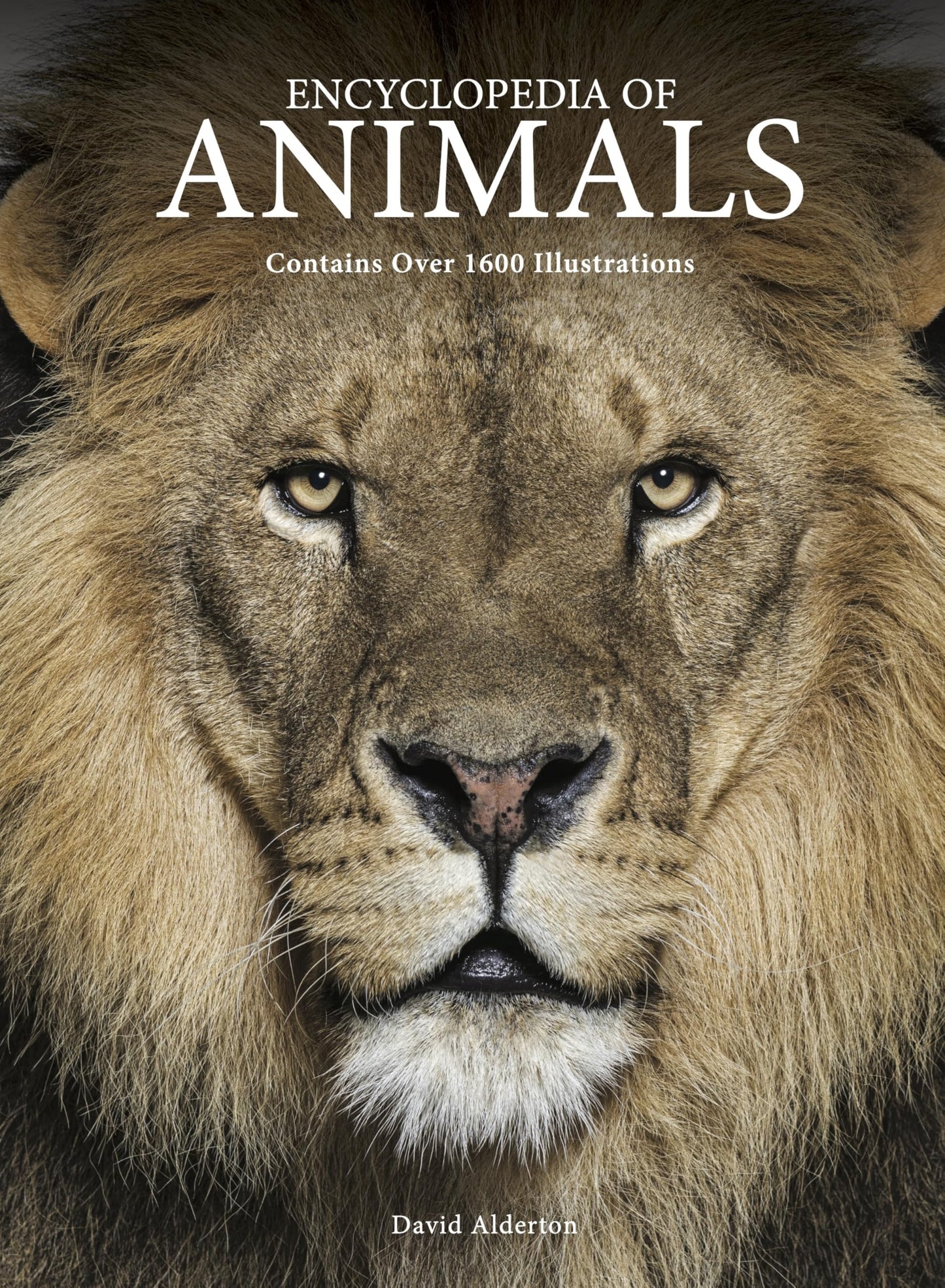 Libro: Encyclopedia of Animals (Encyclopedia Handbook)