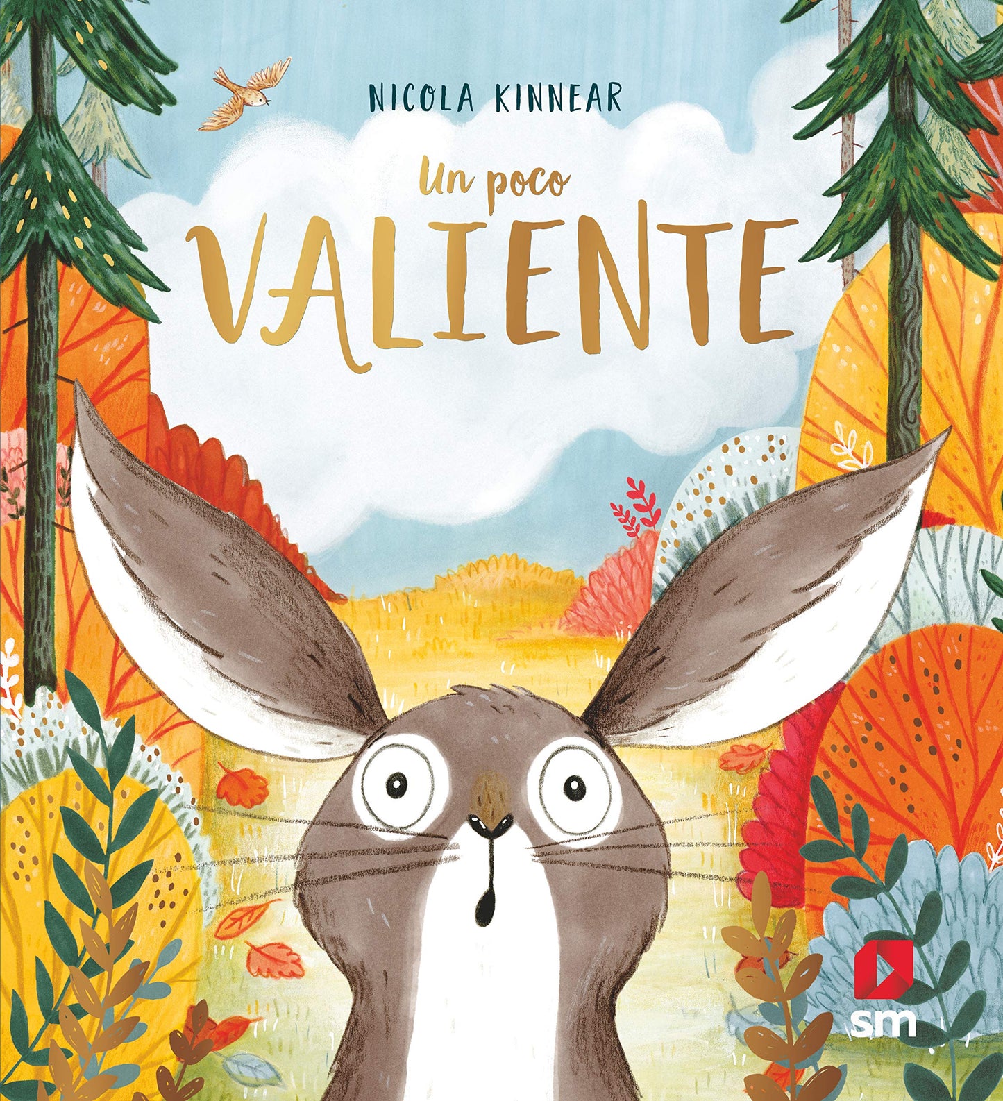 Libro: Un poco valiente