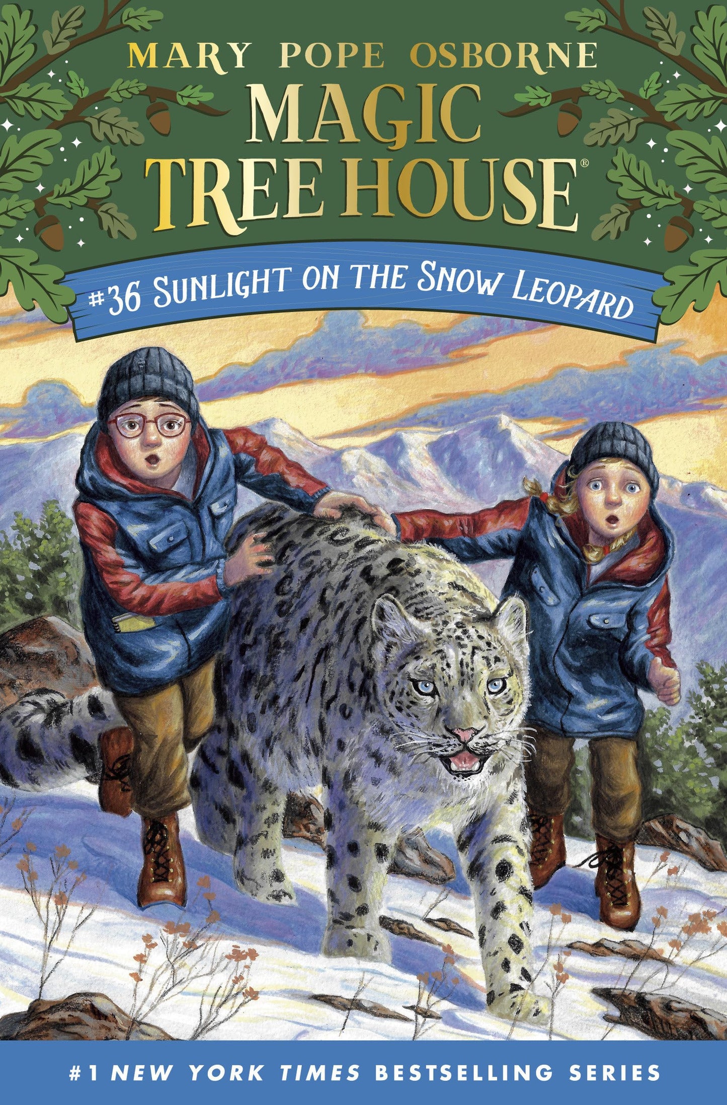 Libro: Sunlight on the Snow Leopard (Magic Tree House)