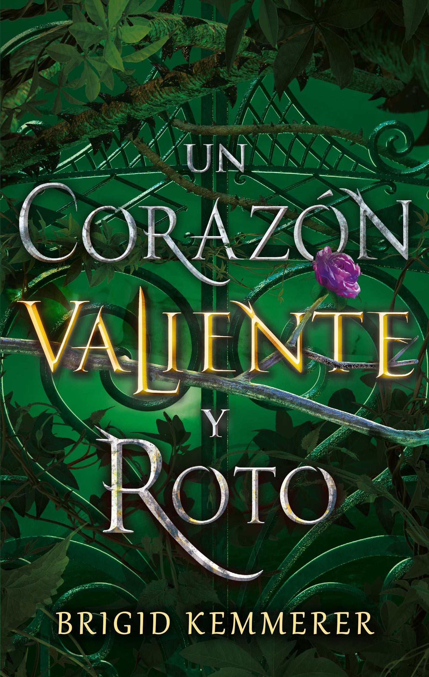Libro: Un corazón valiente y roto (Spanish Edition)