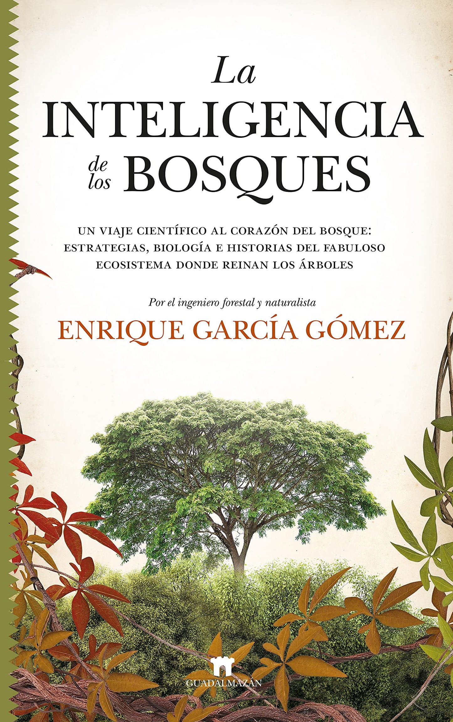 Libro: La inteligencia de los bosques: Un viaje científico al corazón del bosque: estrategias, biología e historias del fabuloso ecosistema donde reinan los árboles (Divulgación Científica)