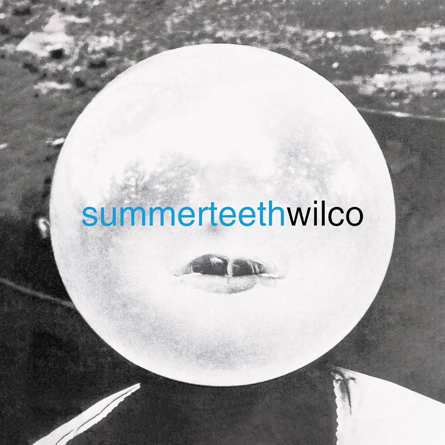 Libro: summerteeth