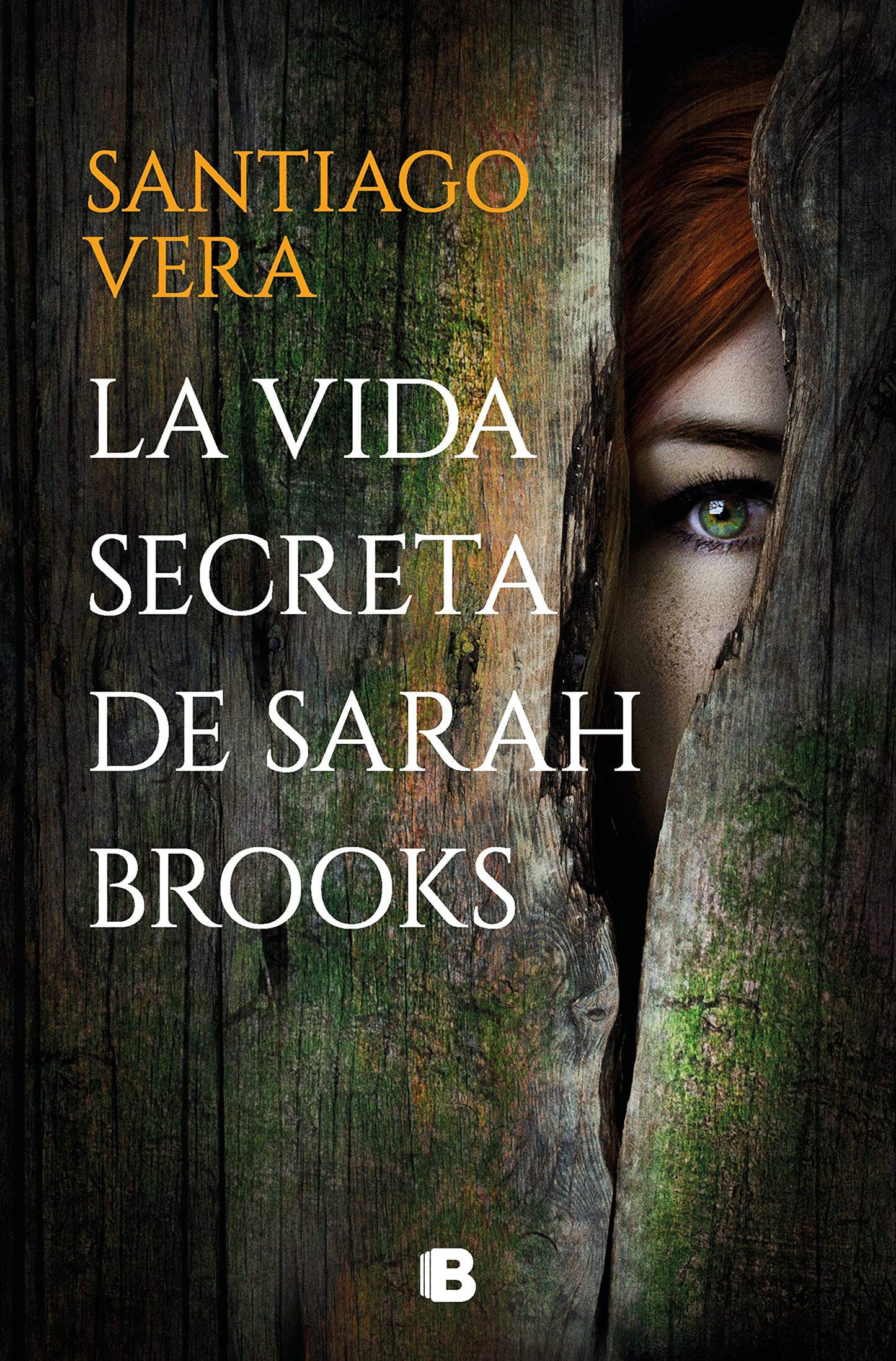 Libro: La vida secreta de Sarah Brooks (Trilogía Americana 1) (La Trama)