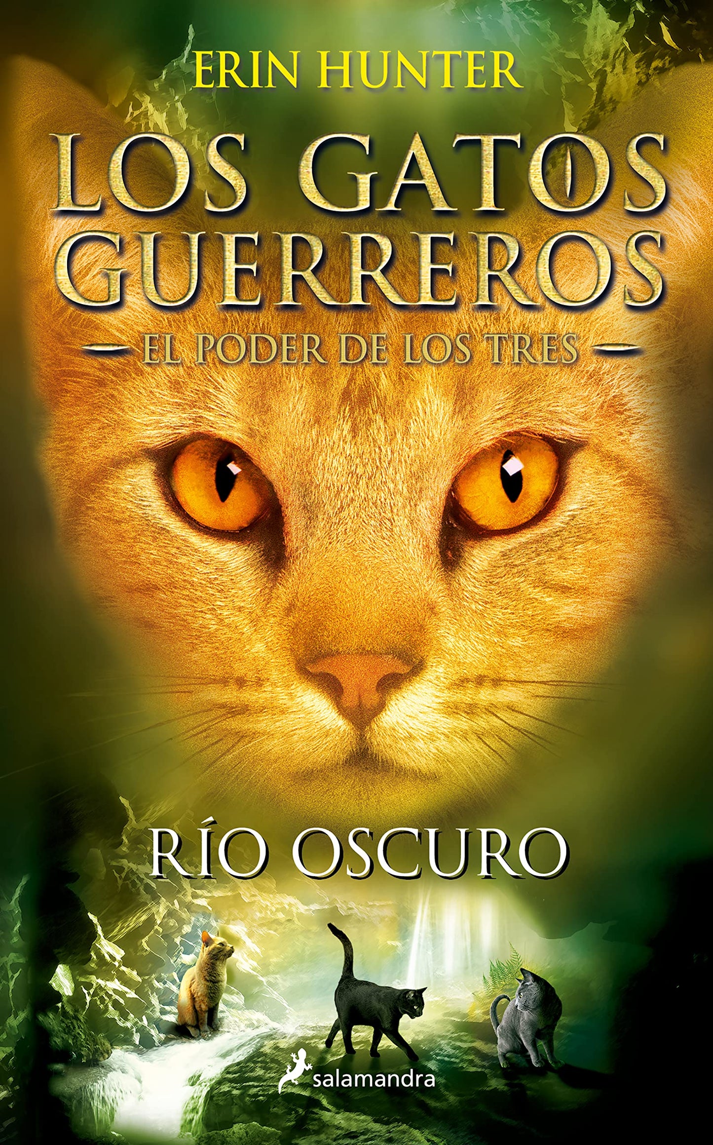 Libro: El río oscuro (El poder de los tres II): Los gatos guerreros - El poder de los tres II: 2 (Colección Salamandra Juvenil)