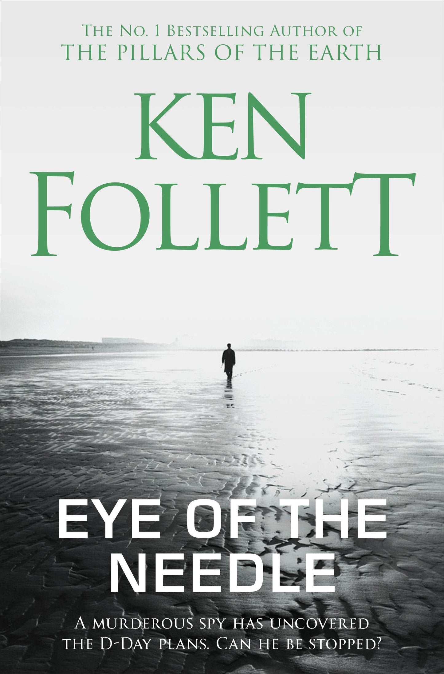 Libro: Eye of the Needle