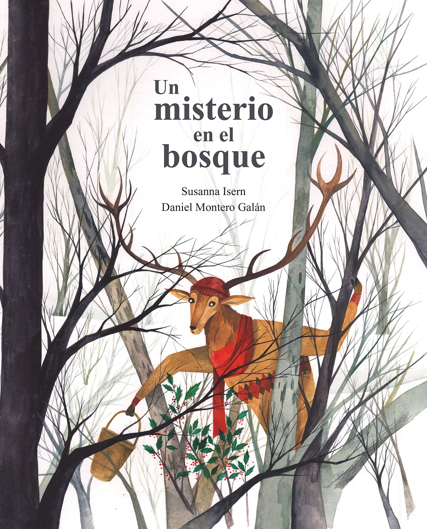 Libro: Un misterio en el bosque