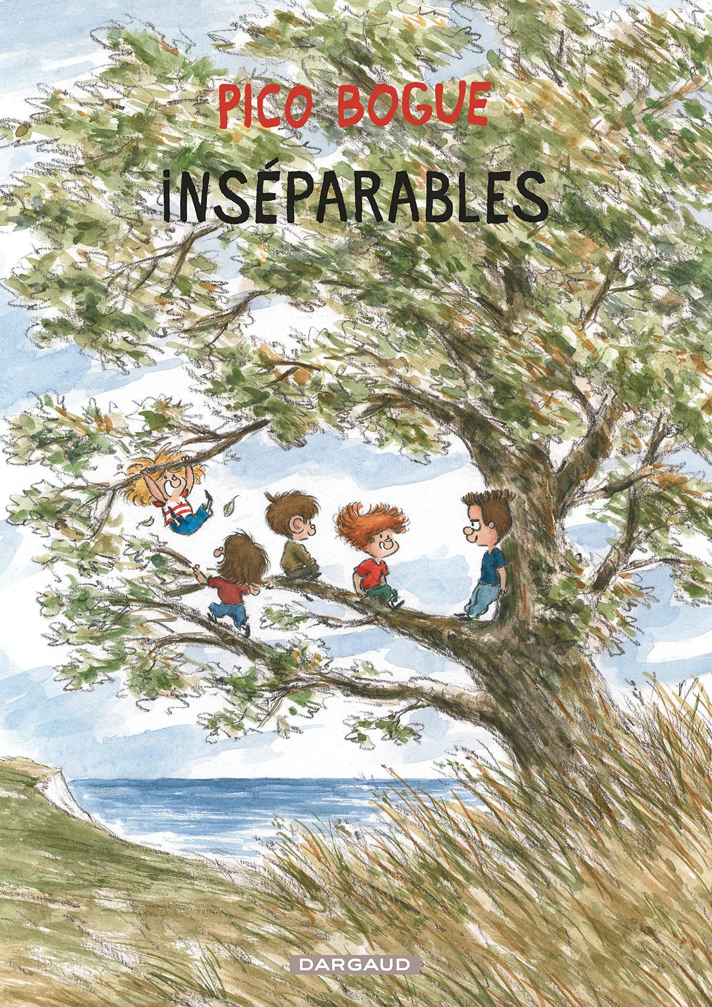 Libro: Pico Bogue - Tome 12 - Inséparables